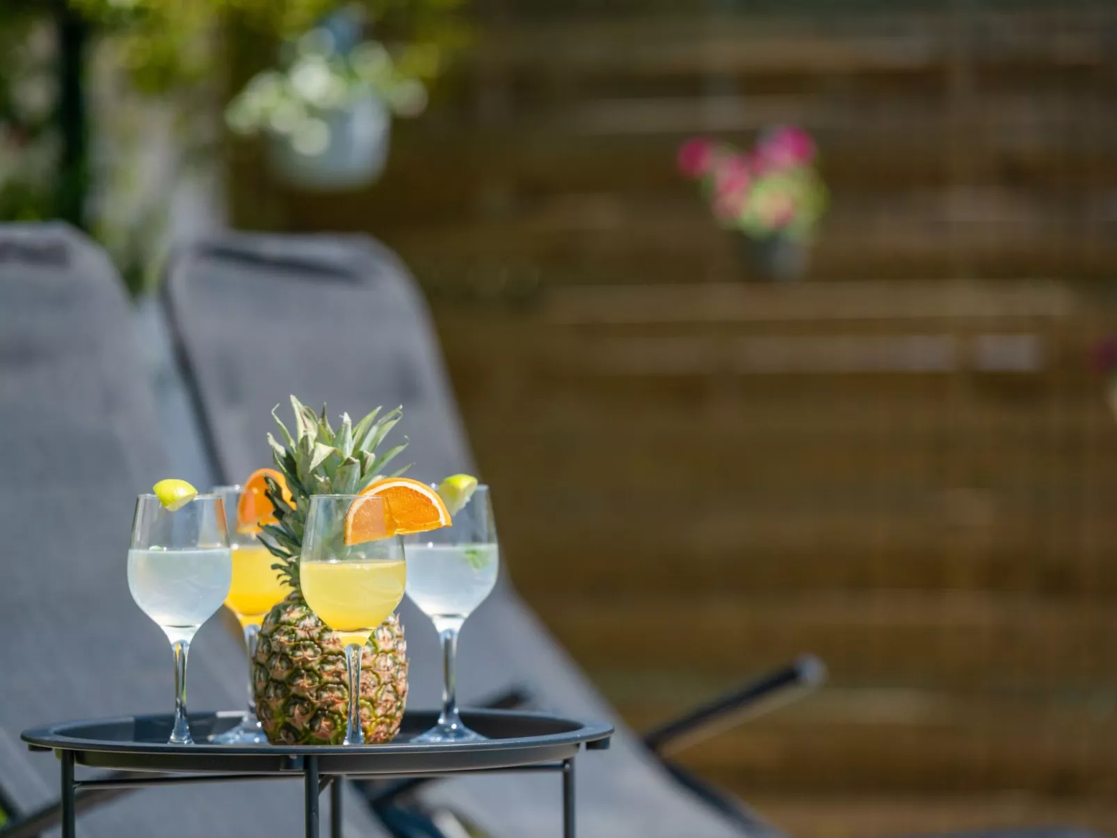 Typisch istrisches Ferienhaus mit Garten-Buiten