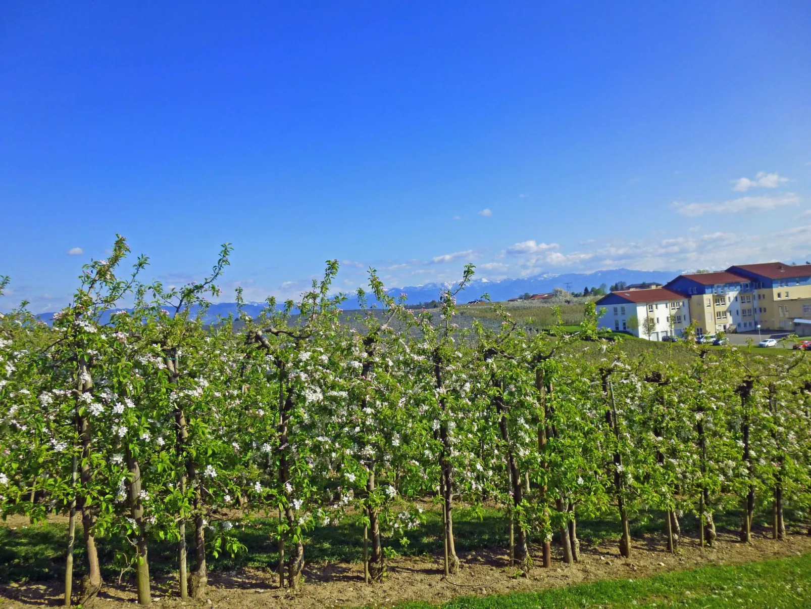 Ferien-Apartment-Buiten