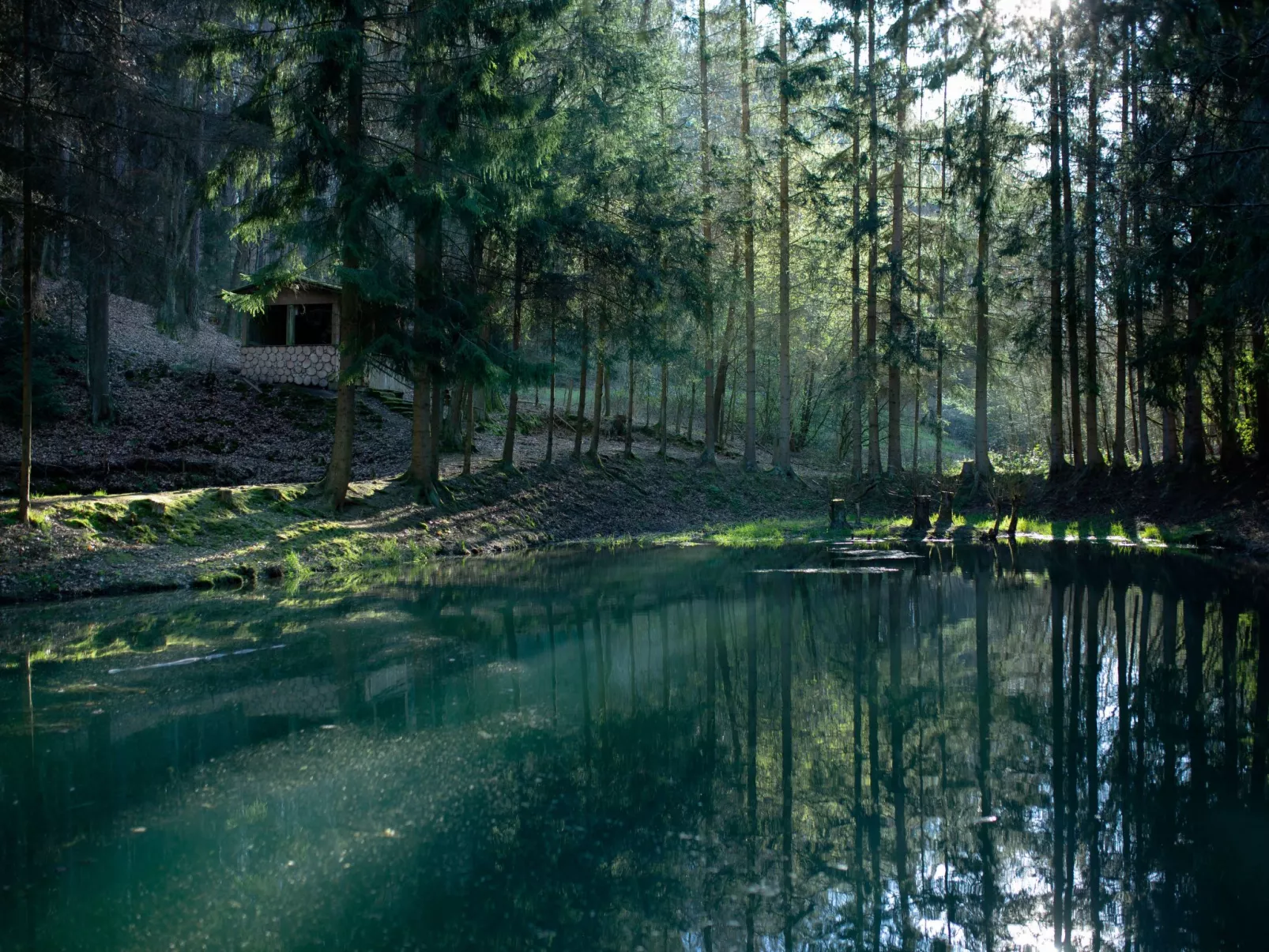 Cat'n'Boots Haus-Buiten