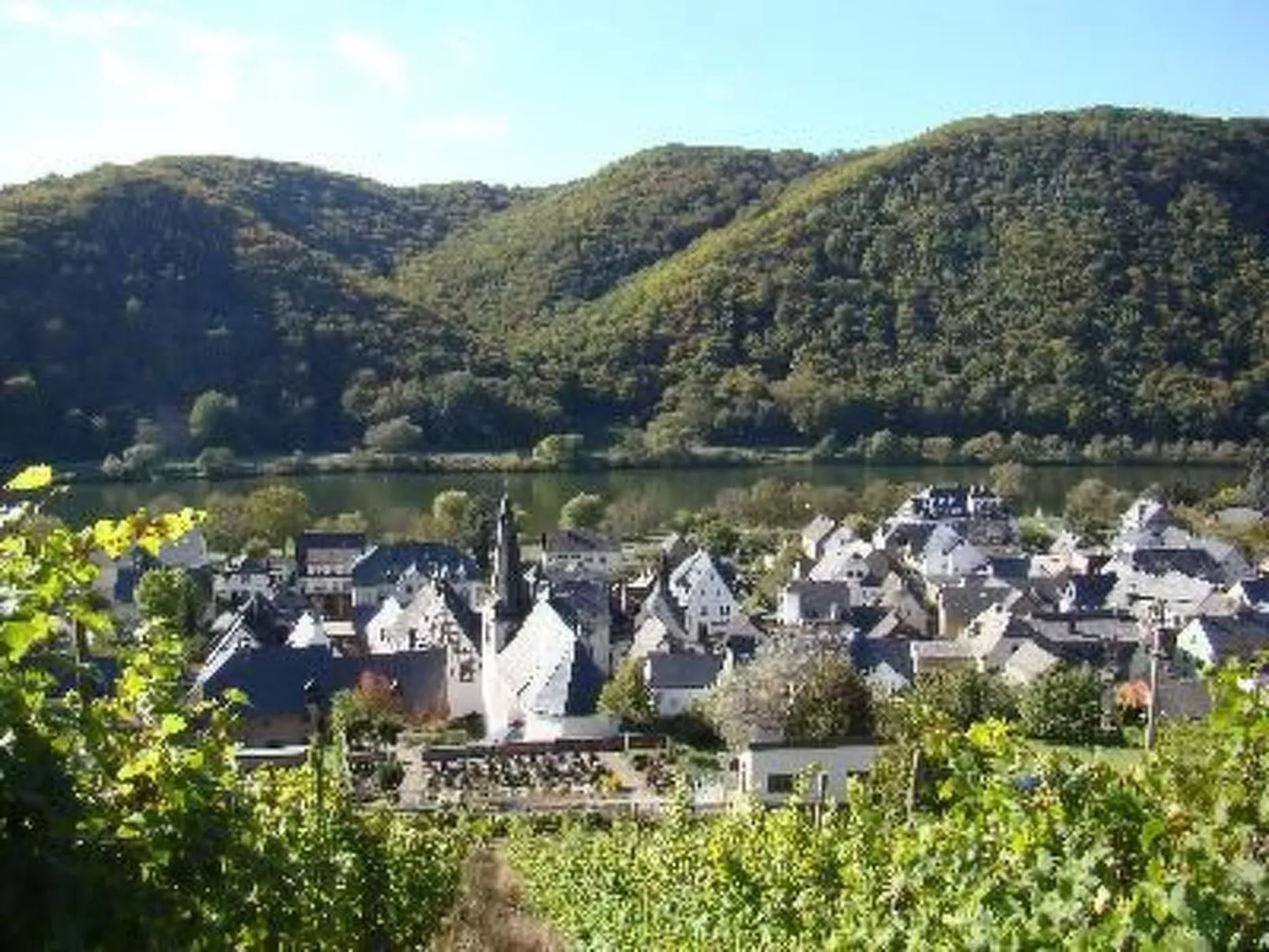 Altes Winzerhaus in Mesenich-Image-tags.info