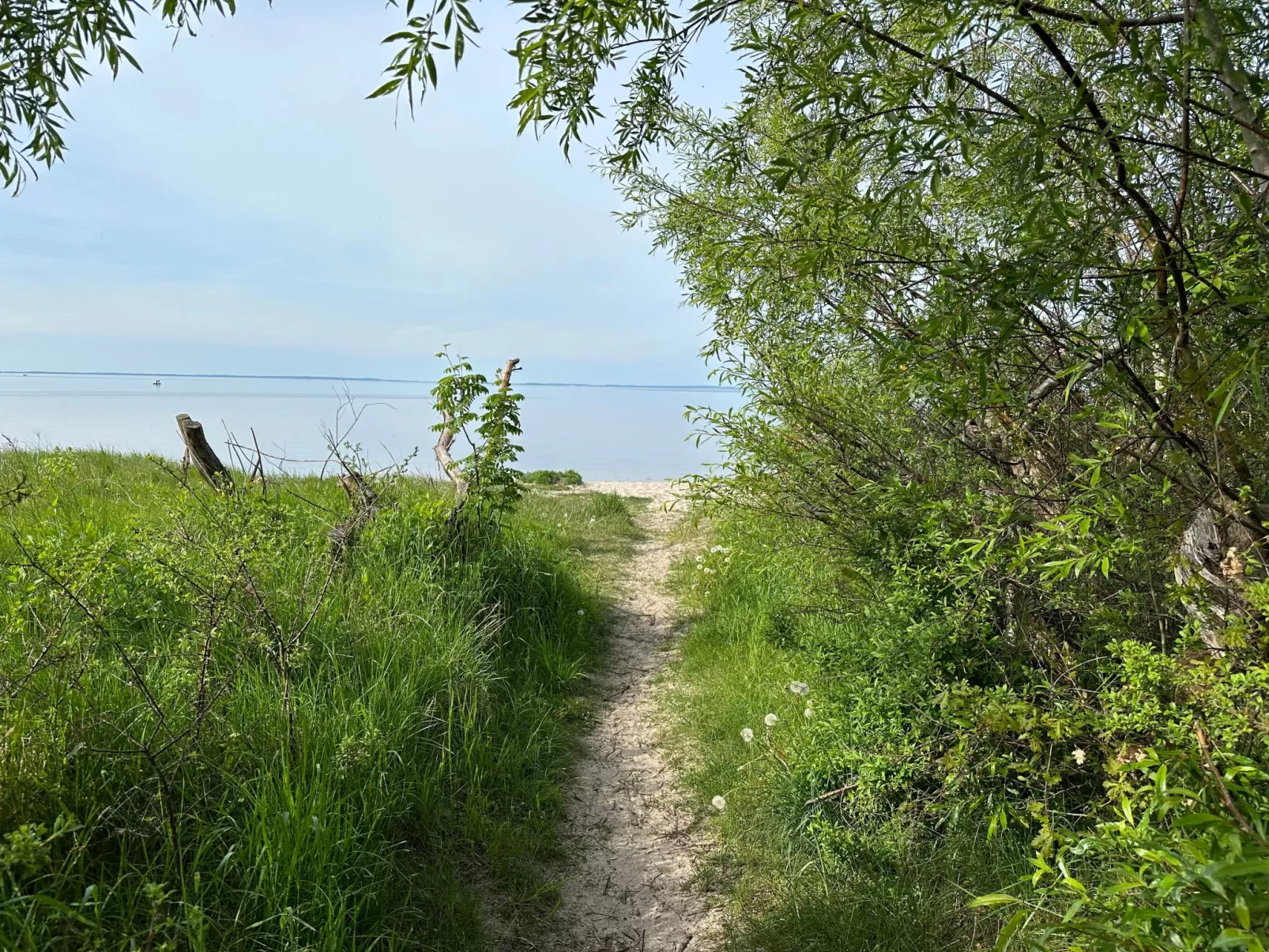 Lais-Image-tags.info