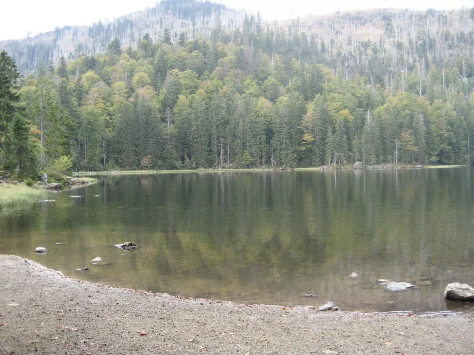 Weber-Image-tags.info