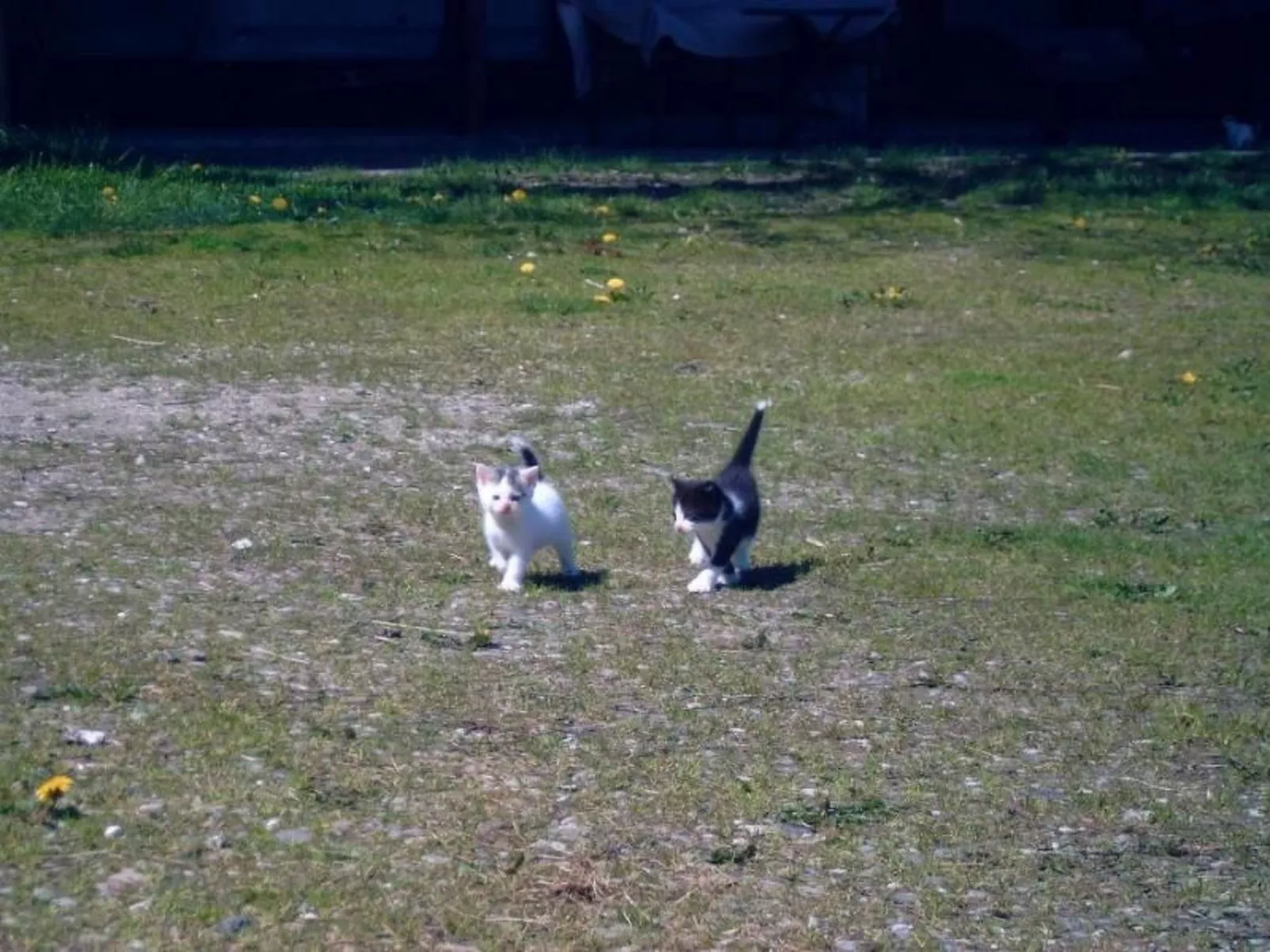 Mit Meerblick - direkt an der Ostsee-Buiten