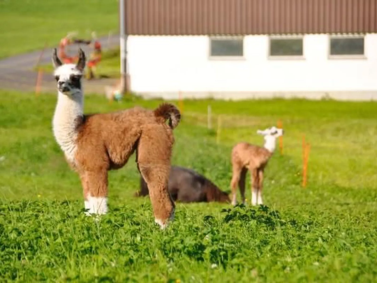 Chäserruggblick-Buiten