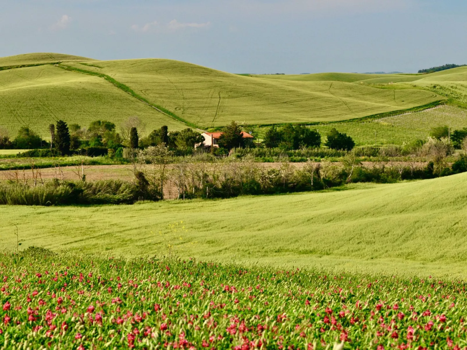 Ostoncino biodynamisch-Buiten