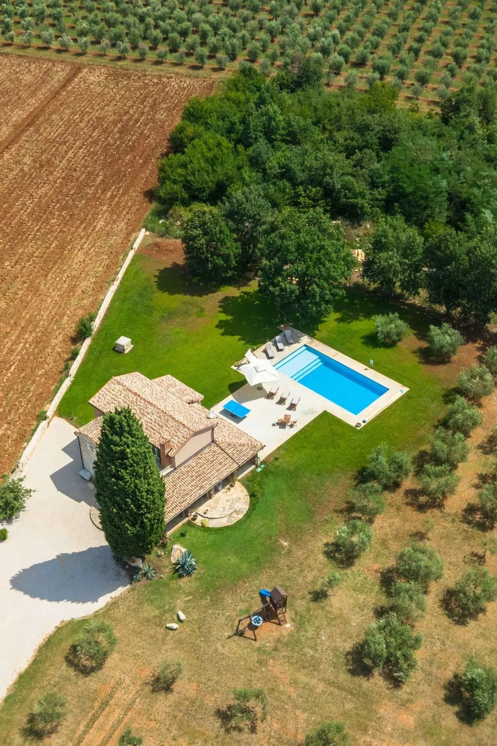 NONA KAPONA-Image-tags.info