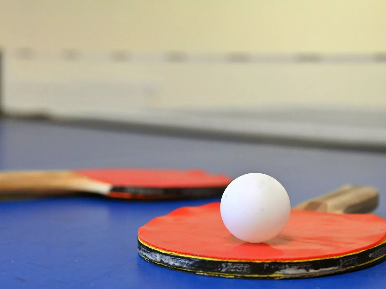 Villa Celia Sellin-Image-tags.info