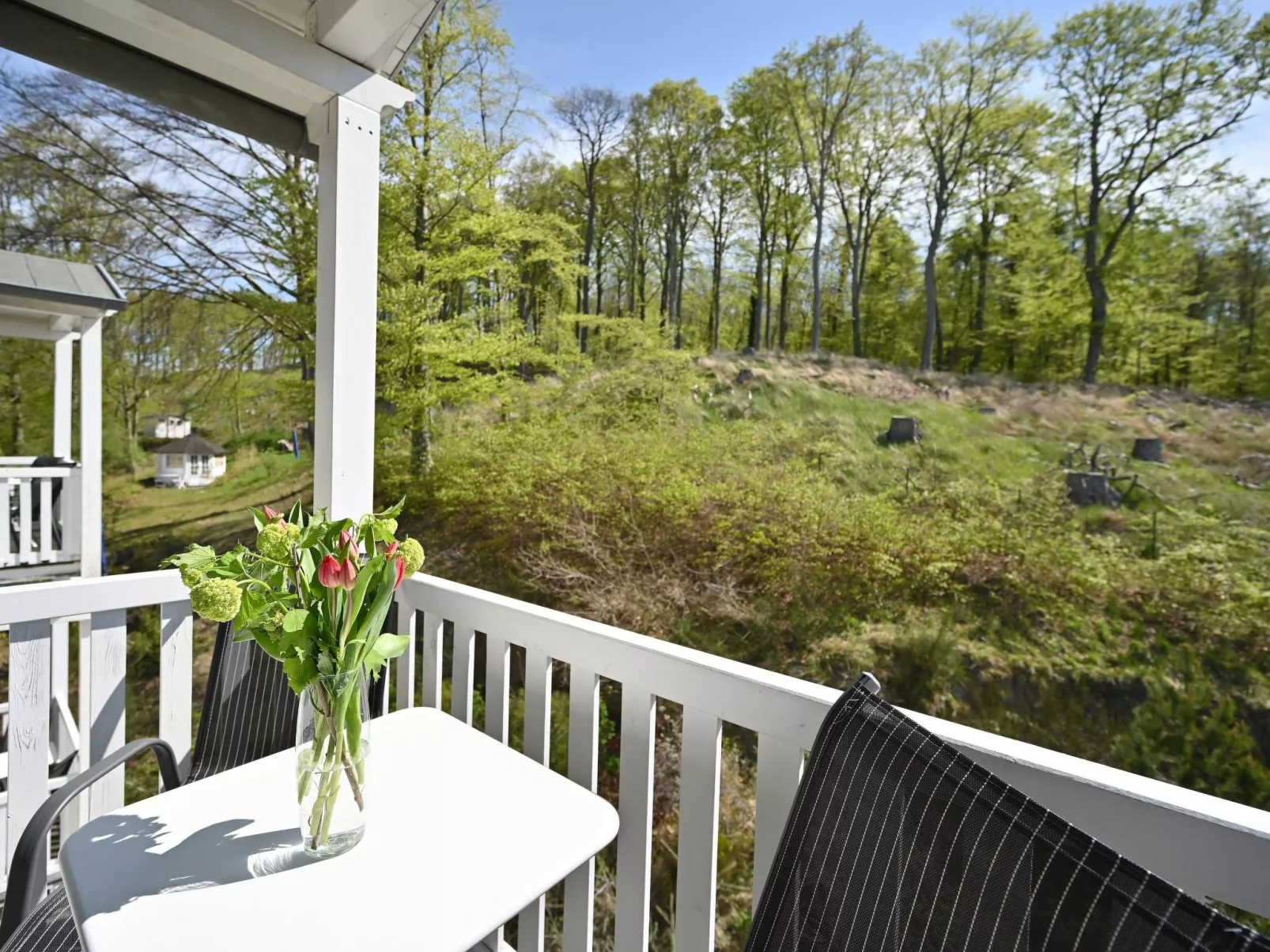 Villa Celia Sellin-Buiten