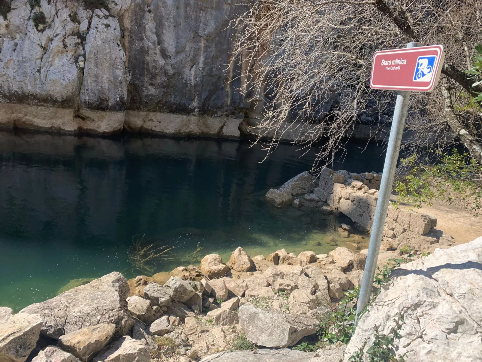 La Finca OliveTree-Buiten