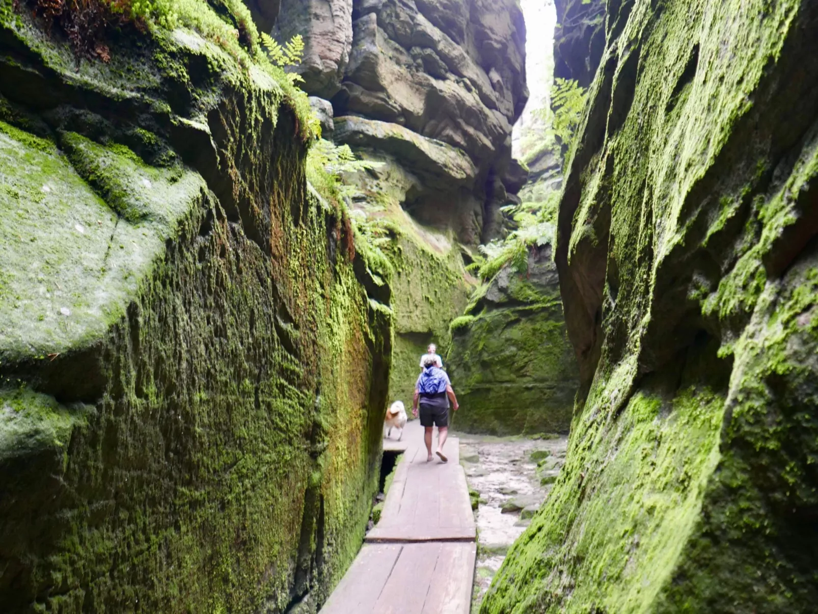 Mit Terrasse - Image-tags.info