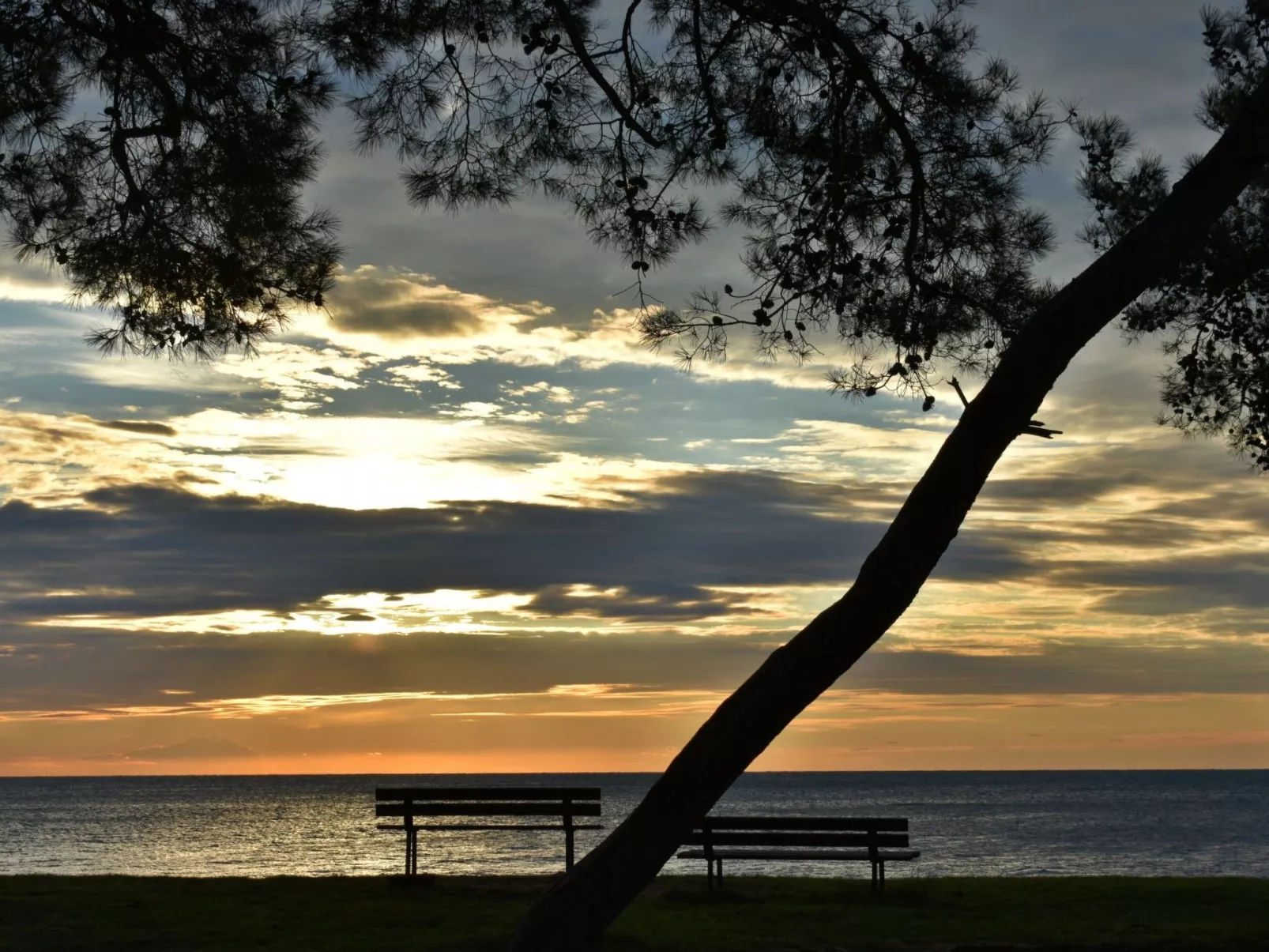 SILVA 2+1 2. KAT-Image-tags.info