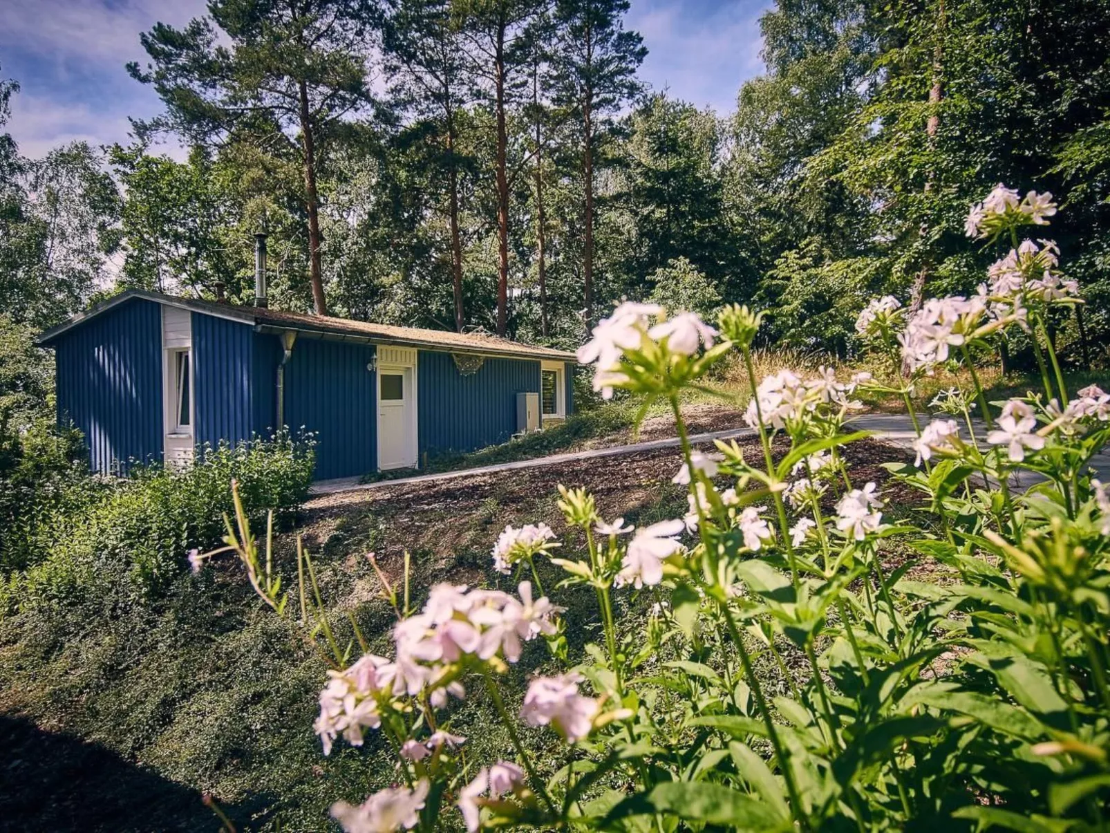 Anne-Image-tags.info