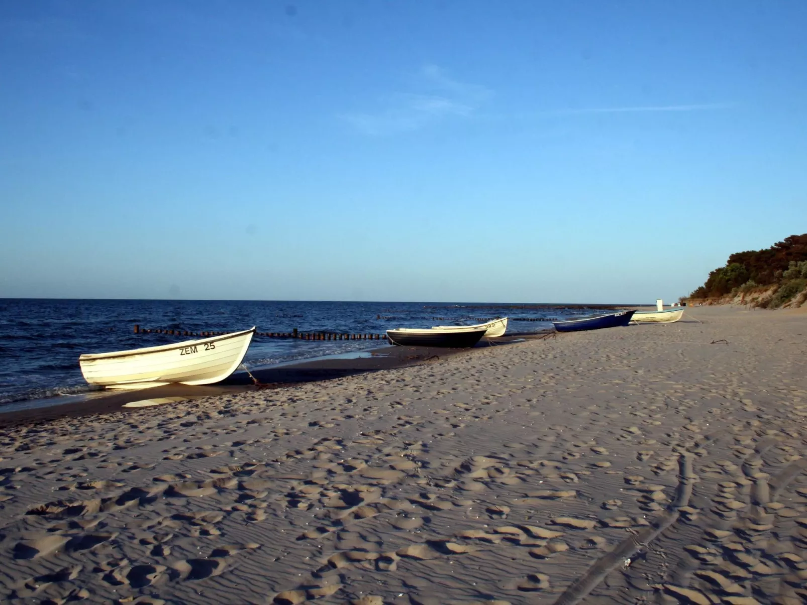 Fewo Waldblick EG-Buiten