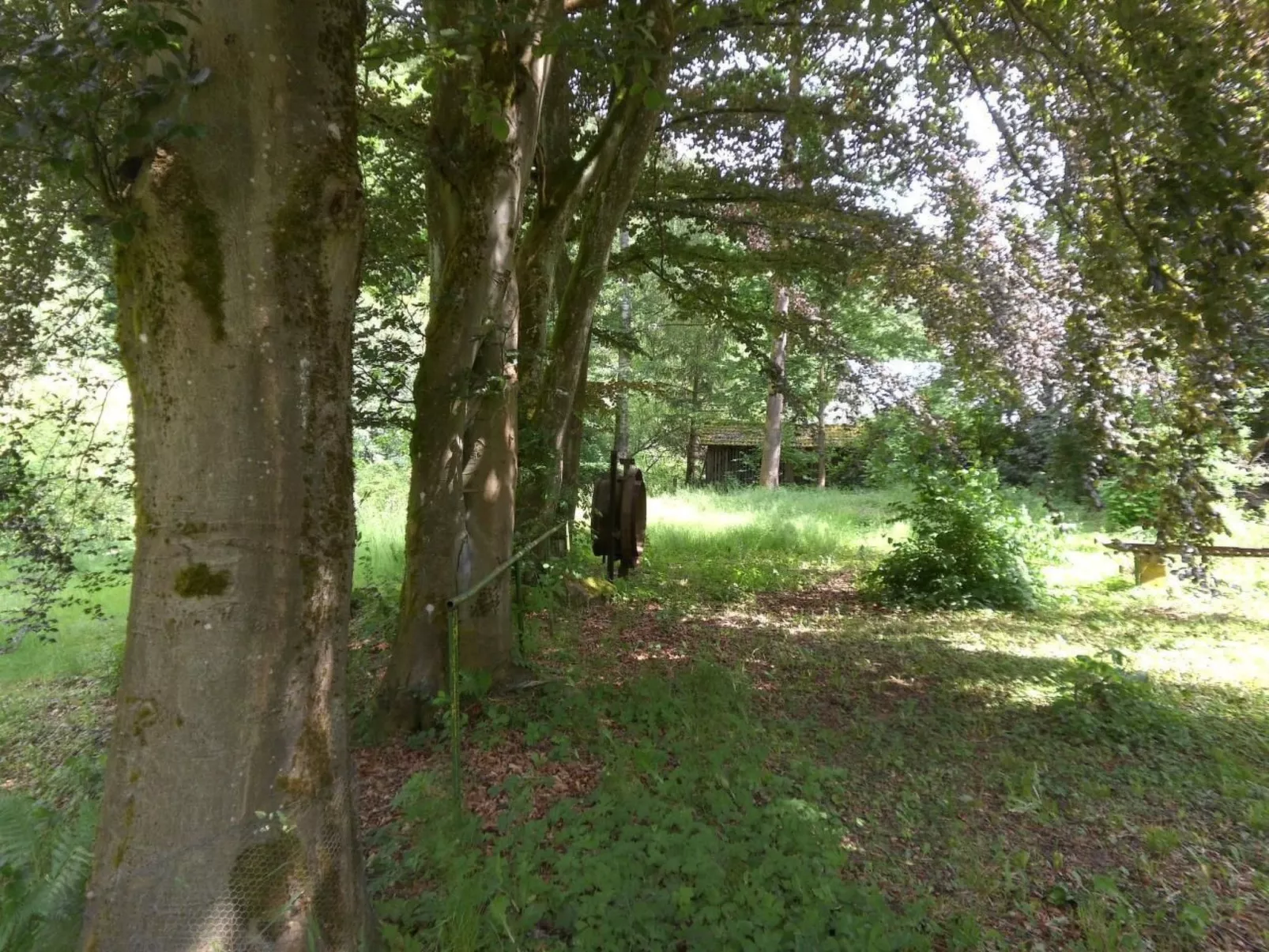 Design Ferienwohnung in historischer Villa-Buiten