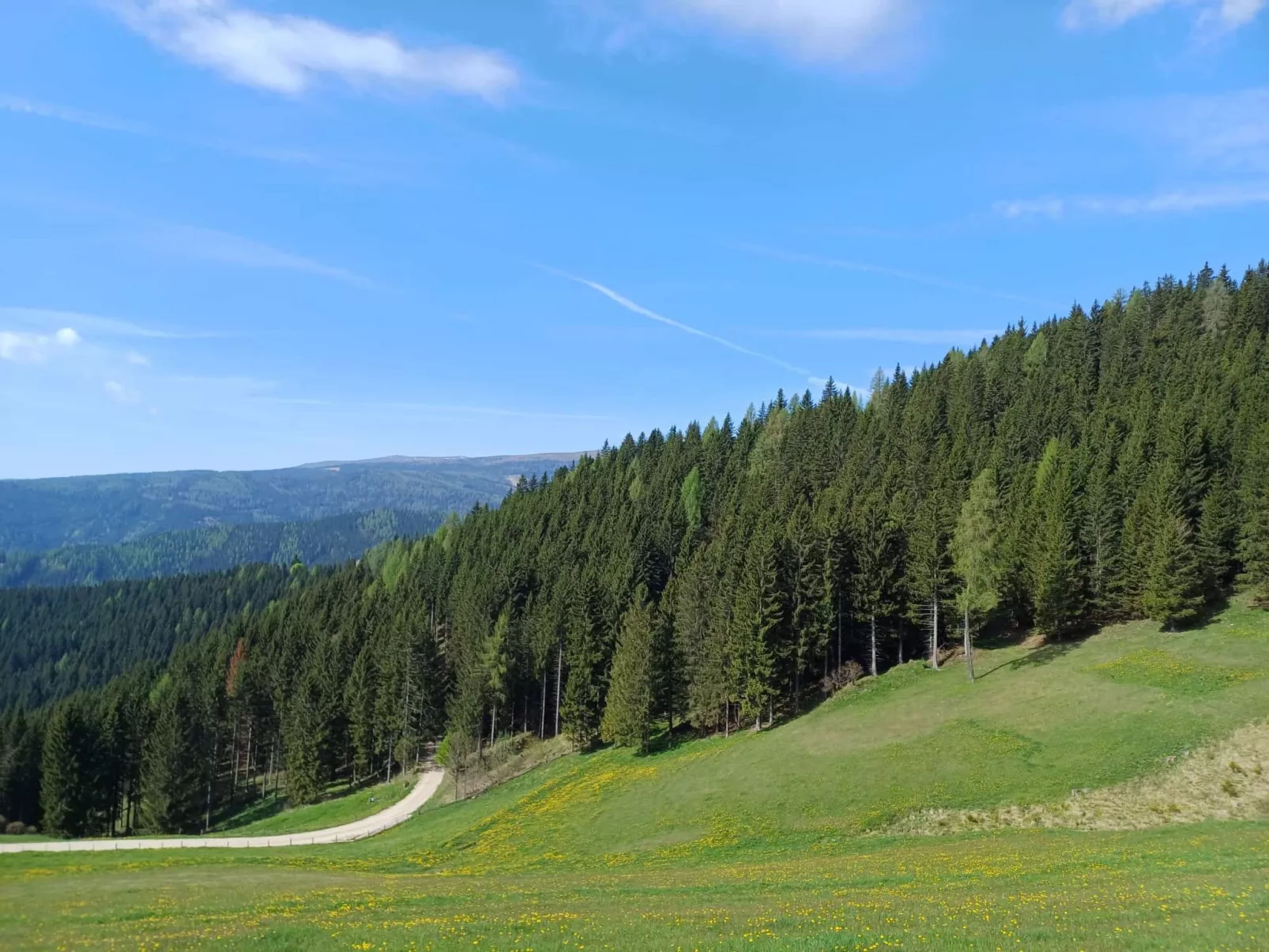Gemütliche Almhütte direkt im Skigebiet-Buiten