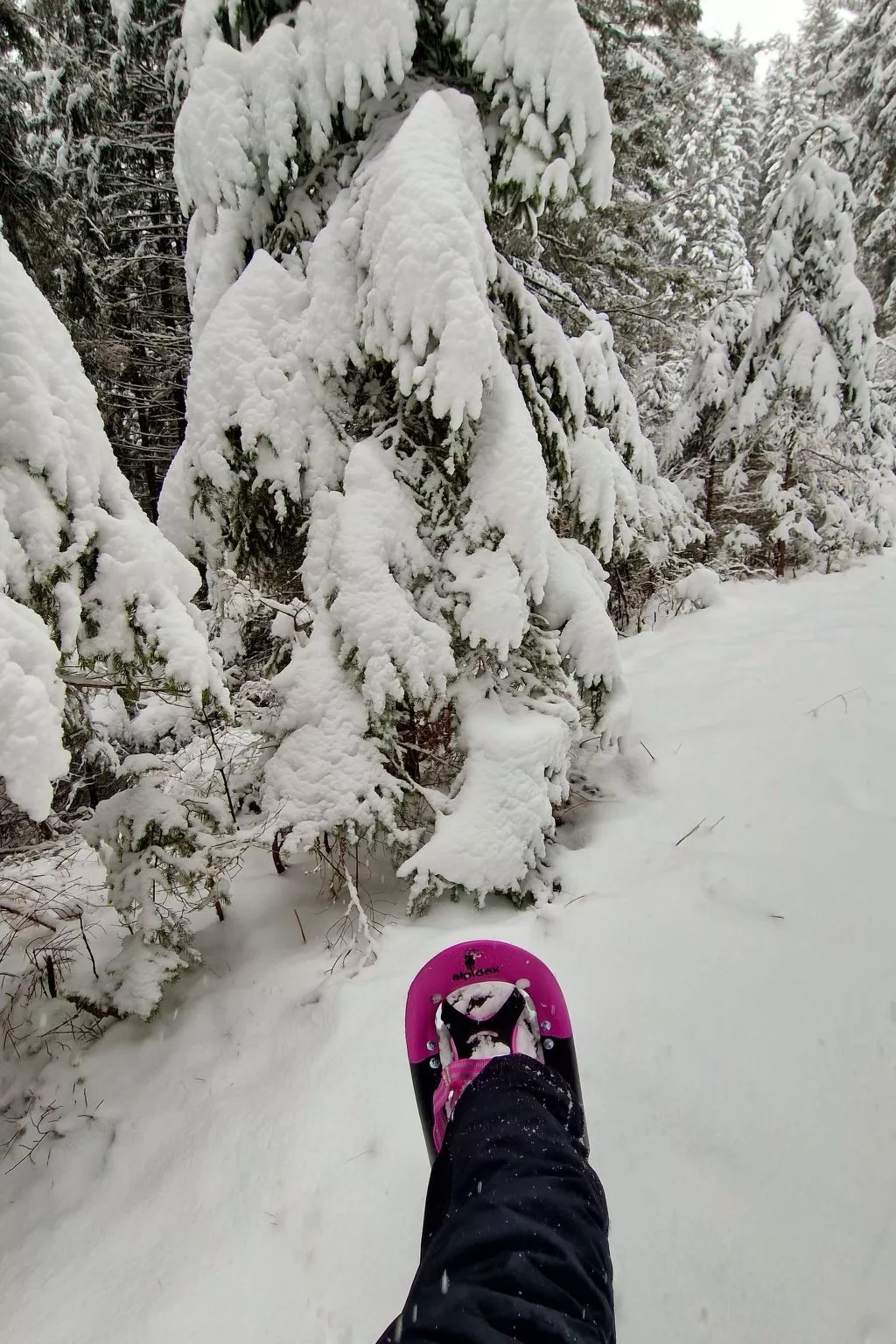 Knusperhäuschen Maria Nikolett in Wolfsberg-Buiten