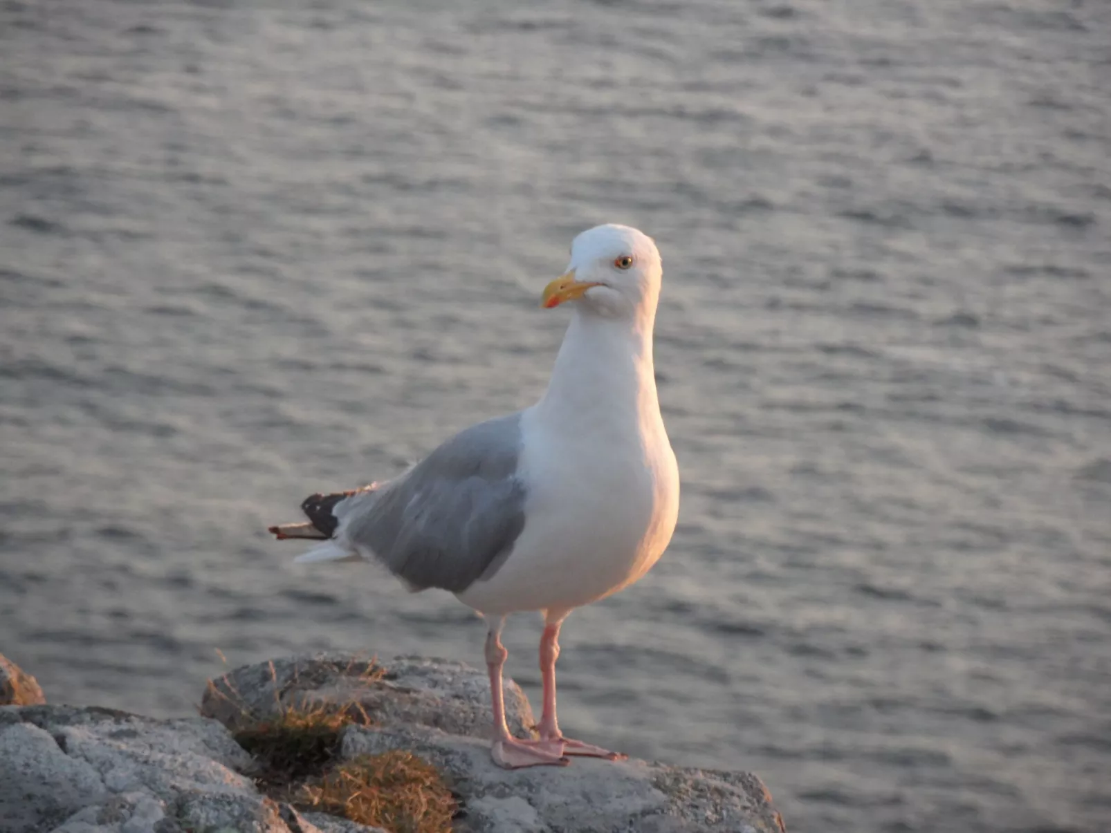 Unterkunft in der Mitte-Buiten