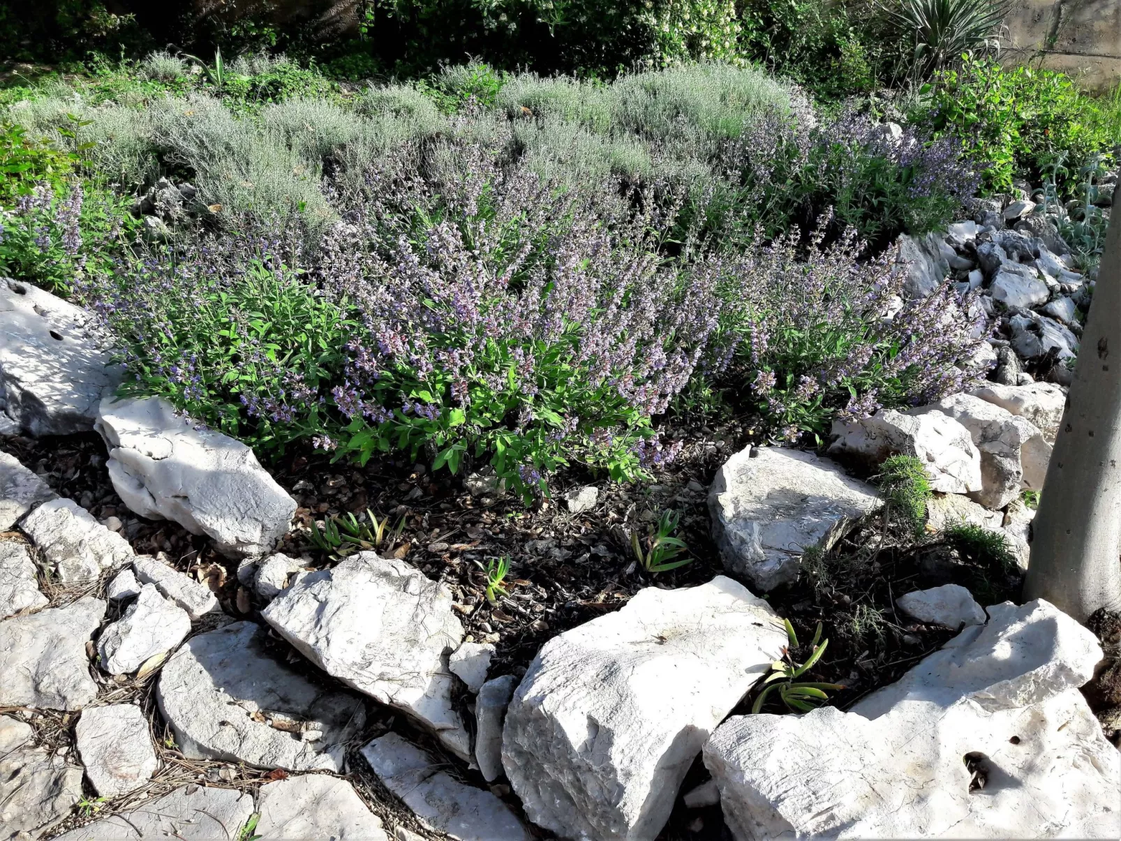 Apartment Zeljka-Image-tags.info