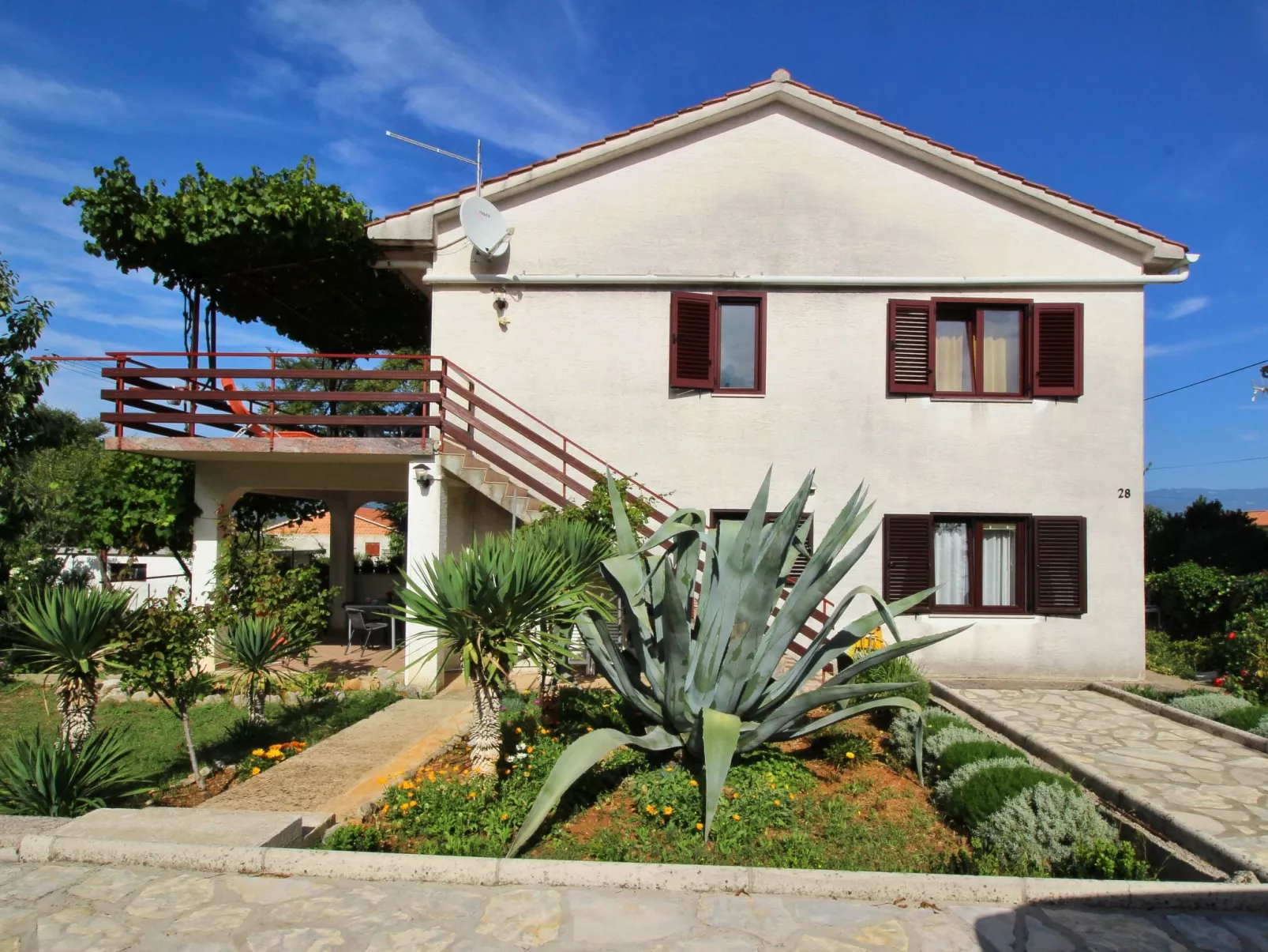 Viola - Image-tags.info