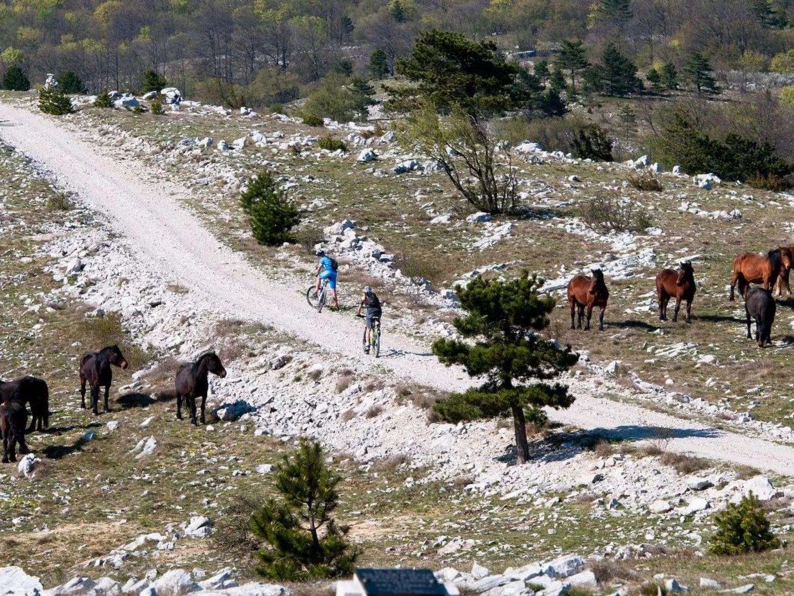 Mit Balkon und Terrasse-Buiten