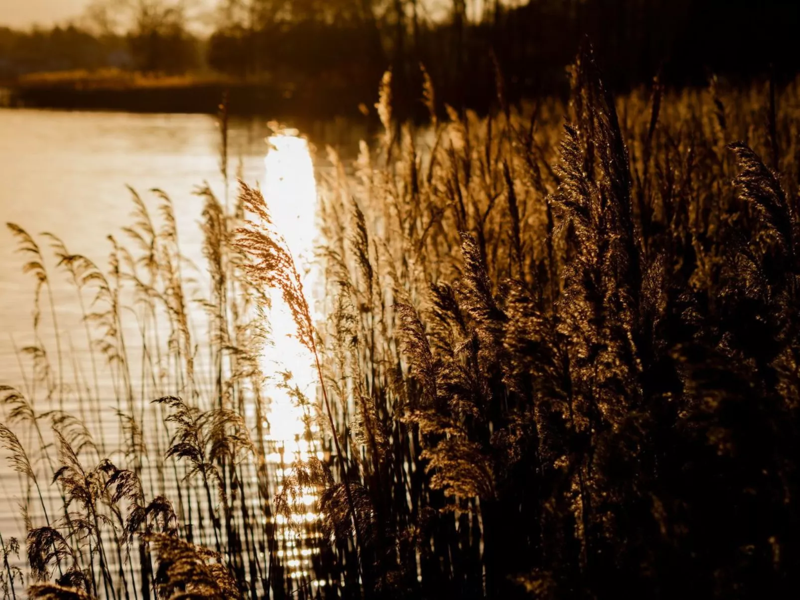 Residenz KrakowerSee-Buiten