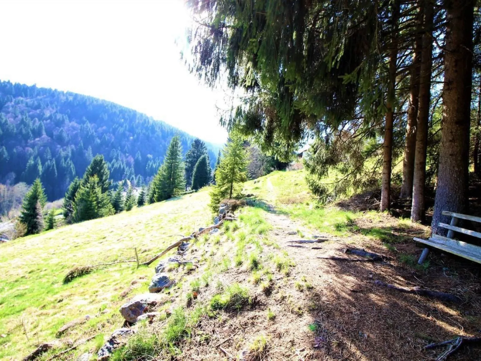 Kuschelnest Oase-Buiten