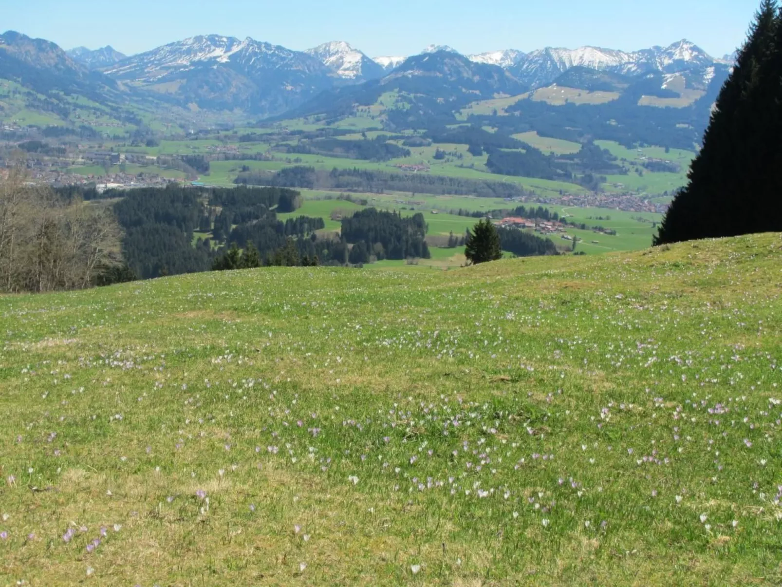 Mit Hallenbad-Buiten