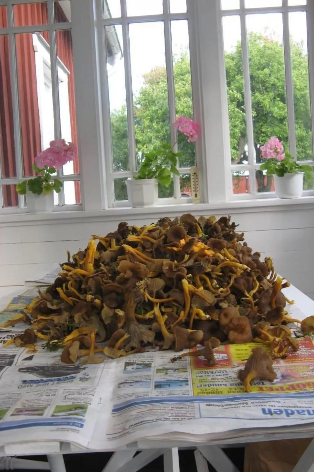 Idyllisches Bauernhaus in Småland-Image-tags.info