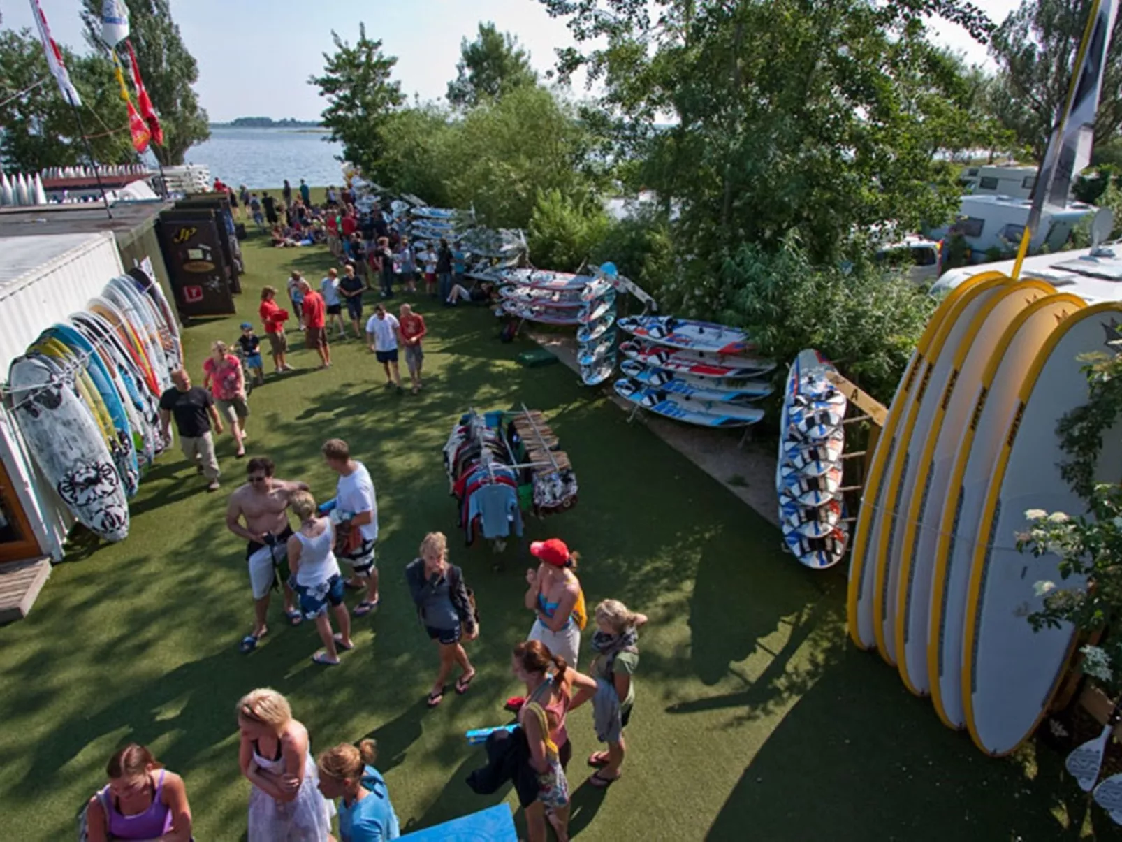 Zwergmöwe in Neue Tiefe-Buiten