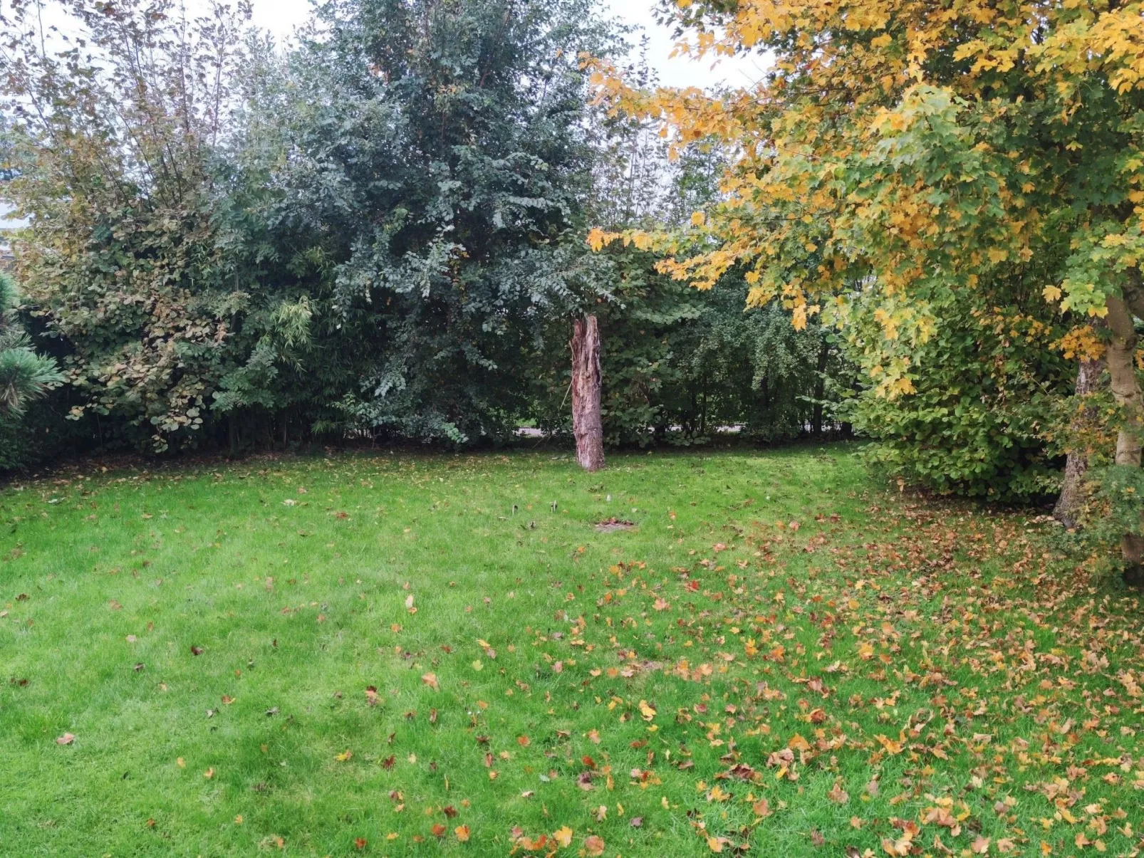 Plattedijk  25-52-Buiten