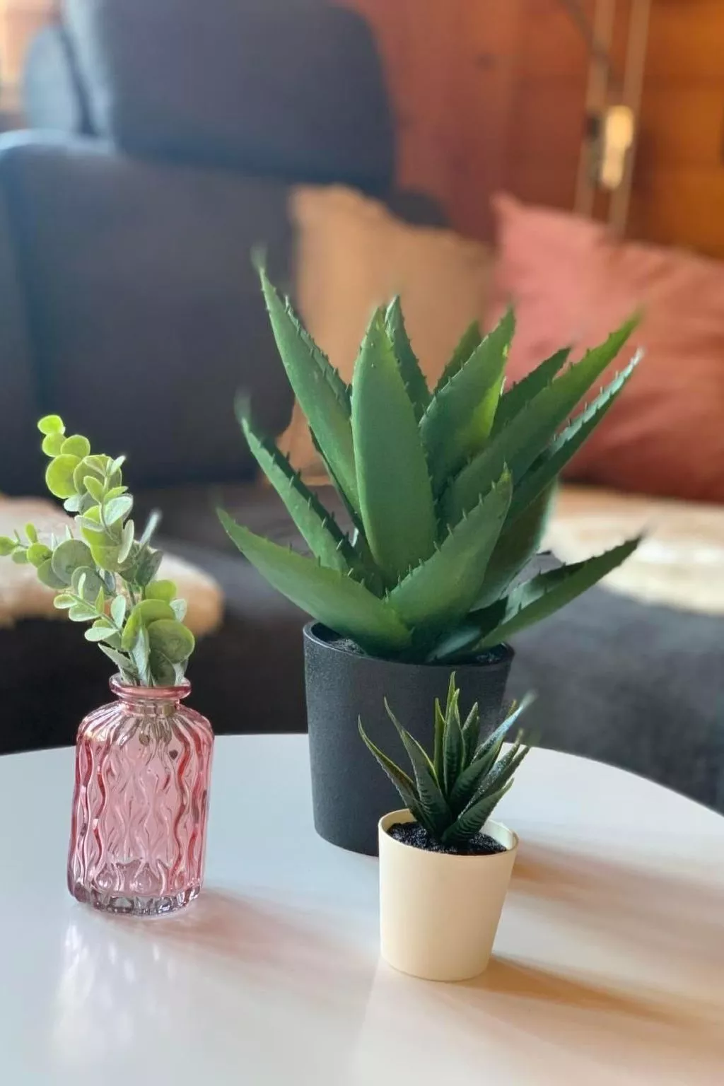 Chalet Bärgblüemli-Image-tags.info