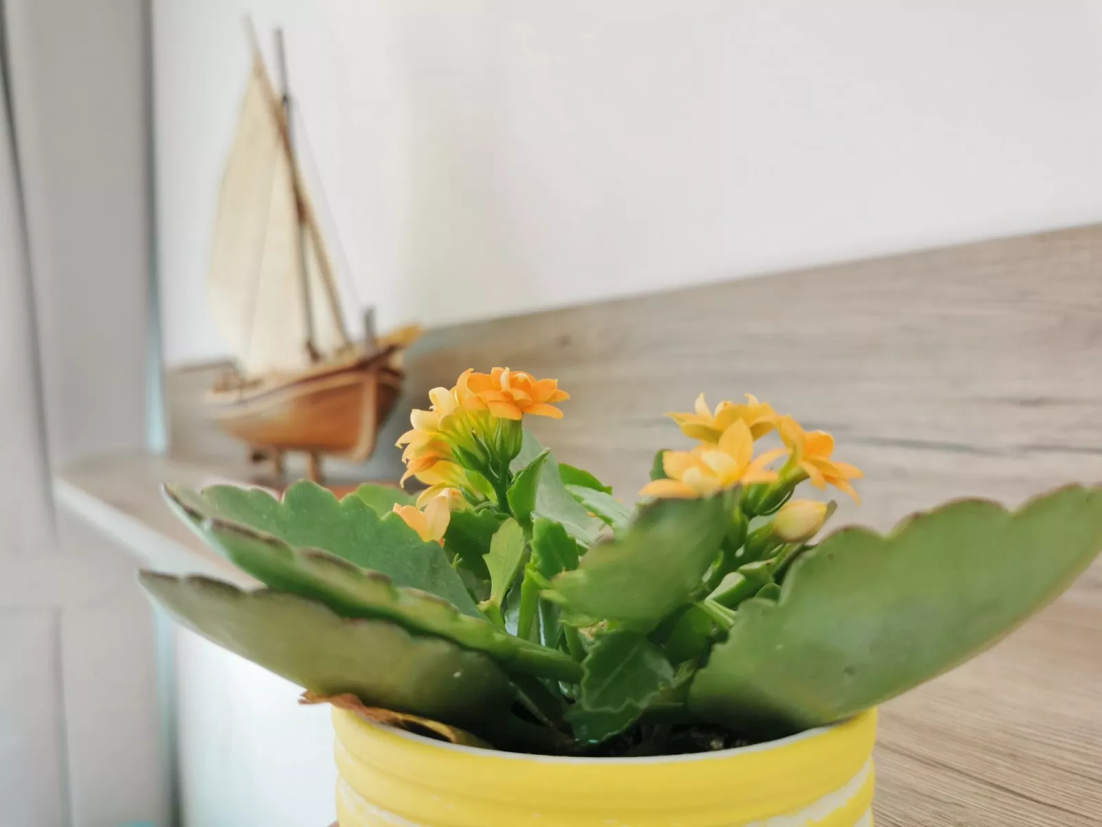 Studio Glorijeta-Image-tags.info