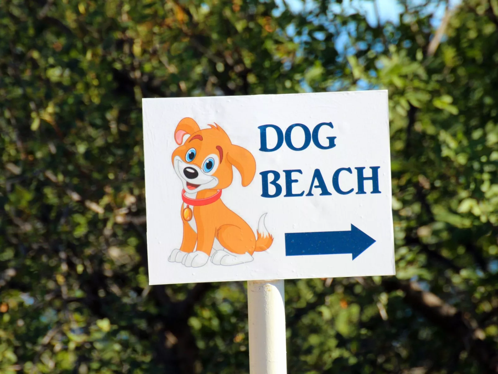 "Mihaljevic Tatjana"-Buiten