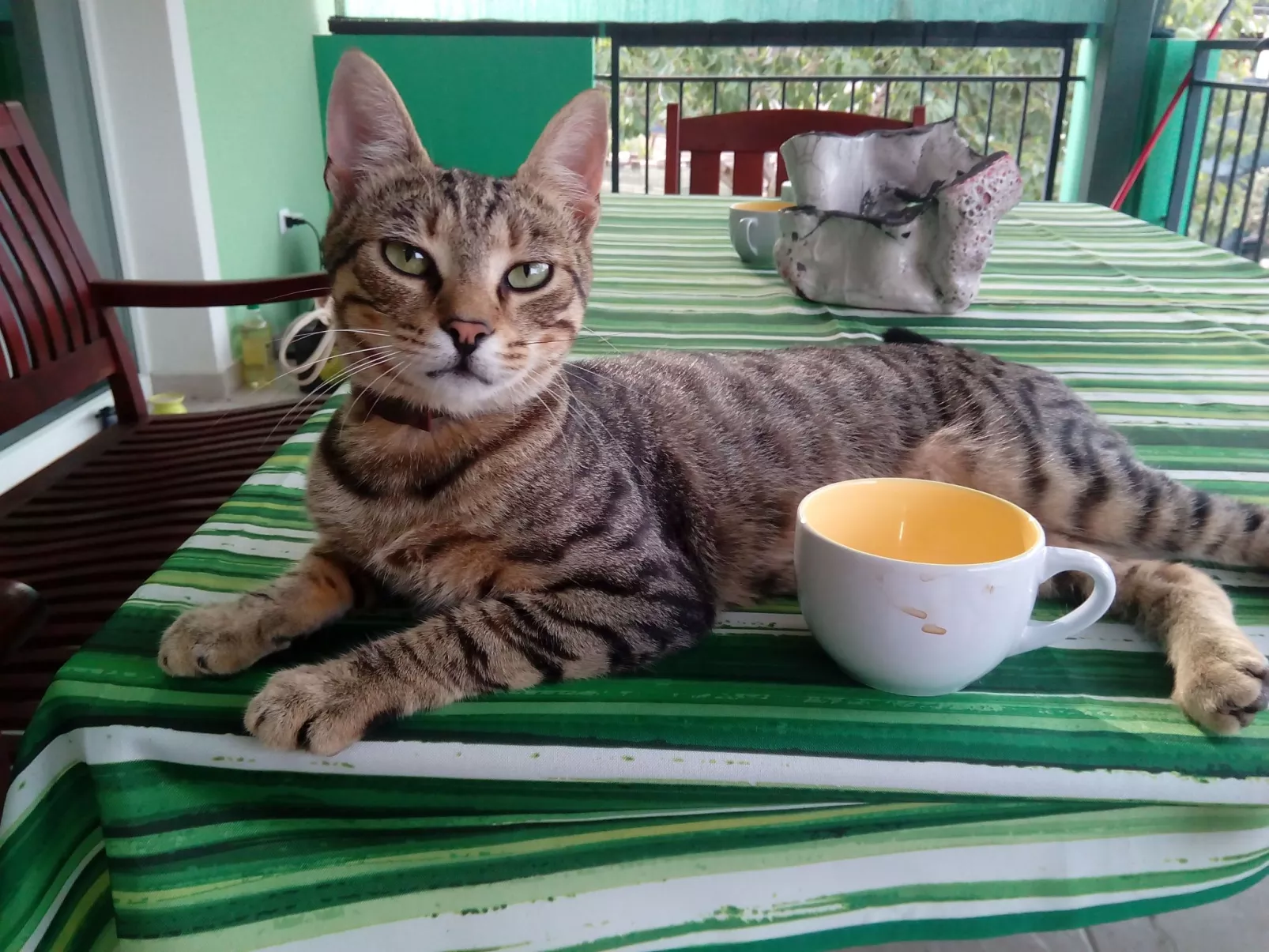 Erdgeschoss mit Schwimmbad-Buiten