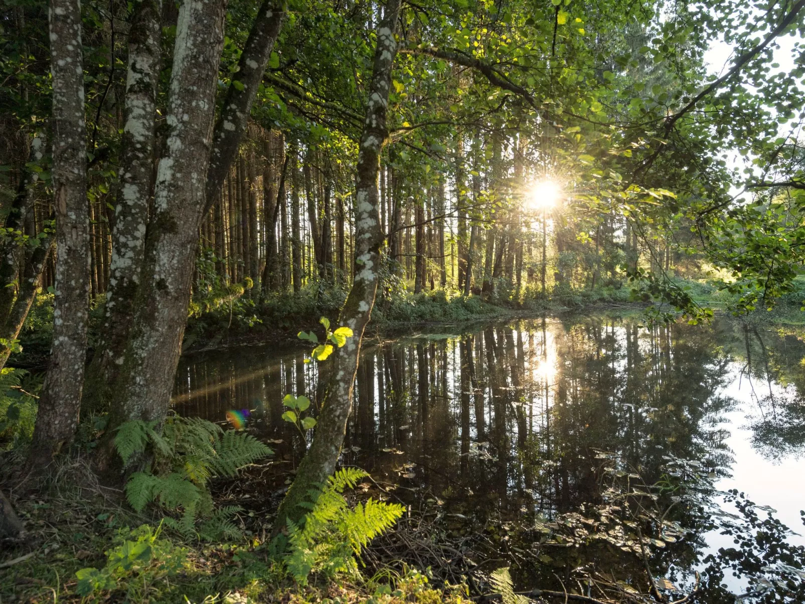 EXKLUSIVE FERIENWOHNUNG MIT EIGENER SAUNA-Buiten