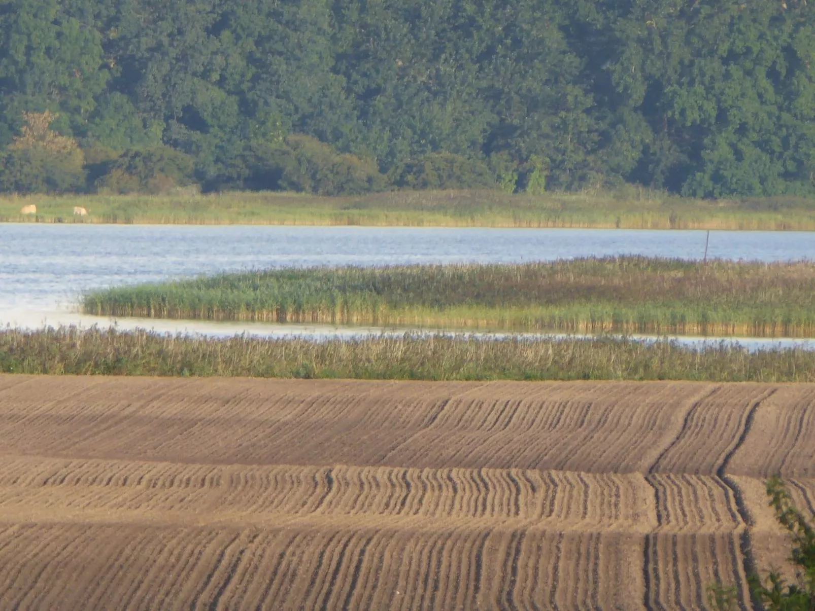 Hochwertige Ferienwohnung in Gingst-Buiten