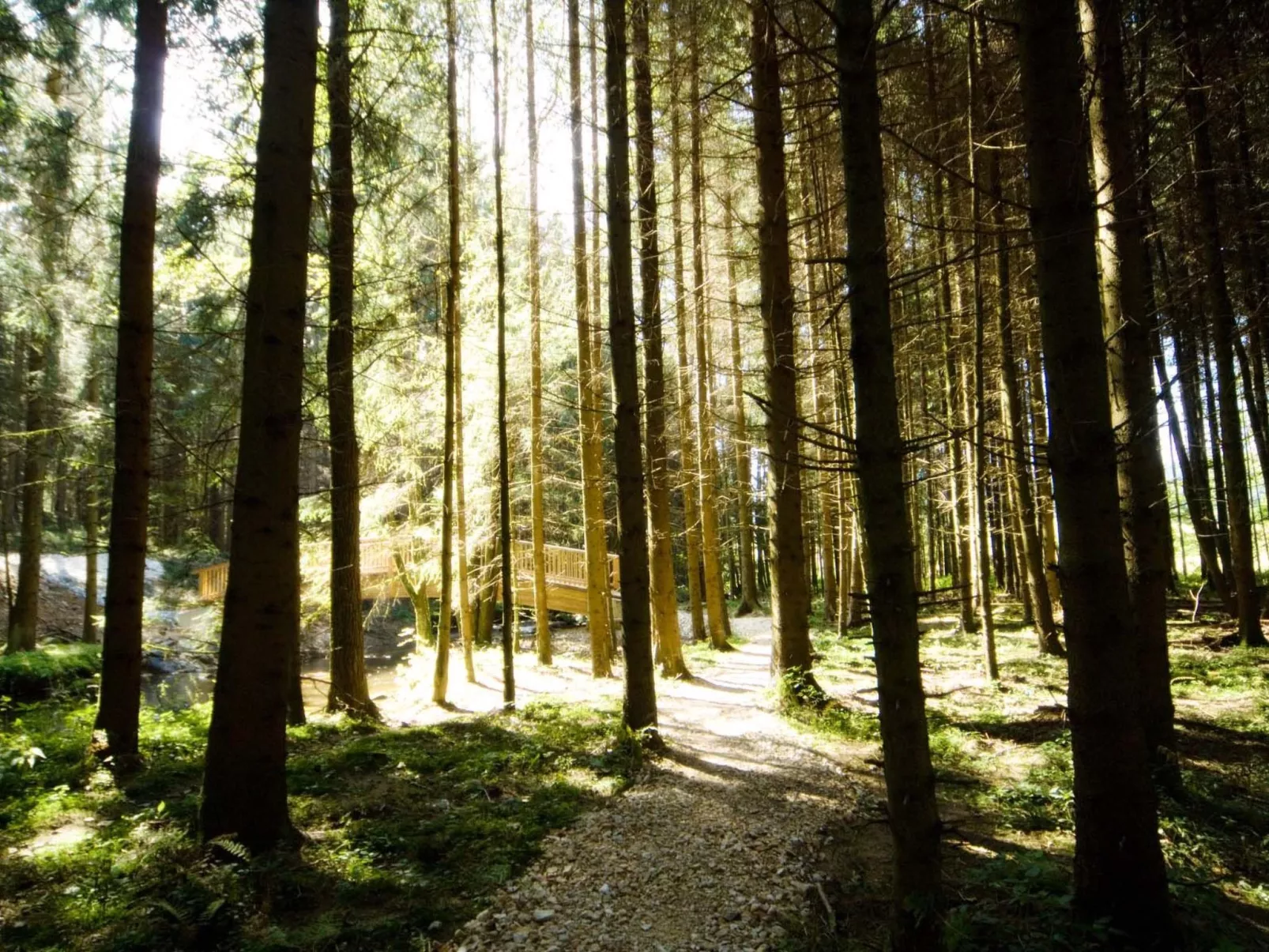 Exklusive Ferienwohnung mit eigener Sauna-Buiten