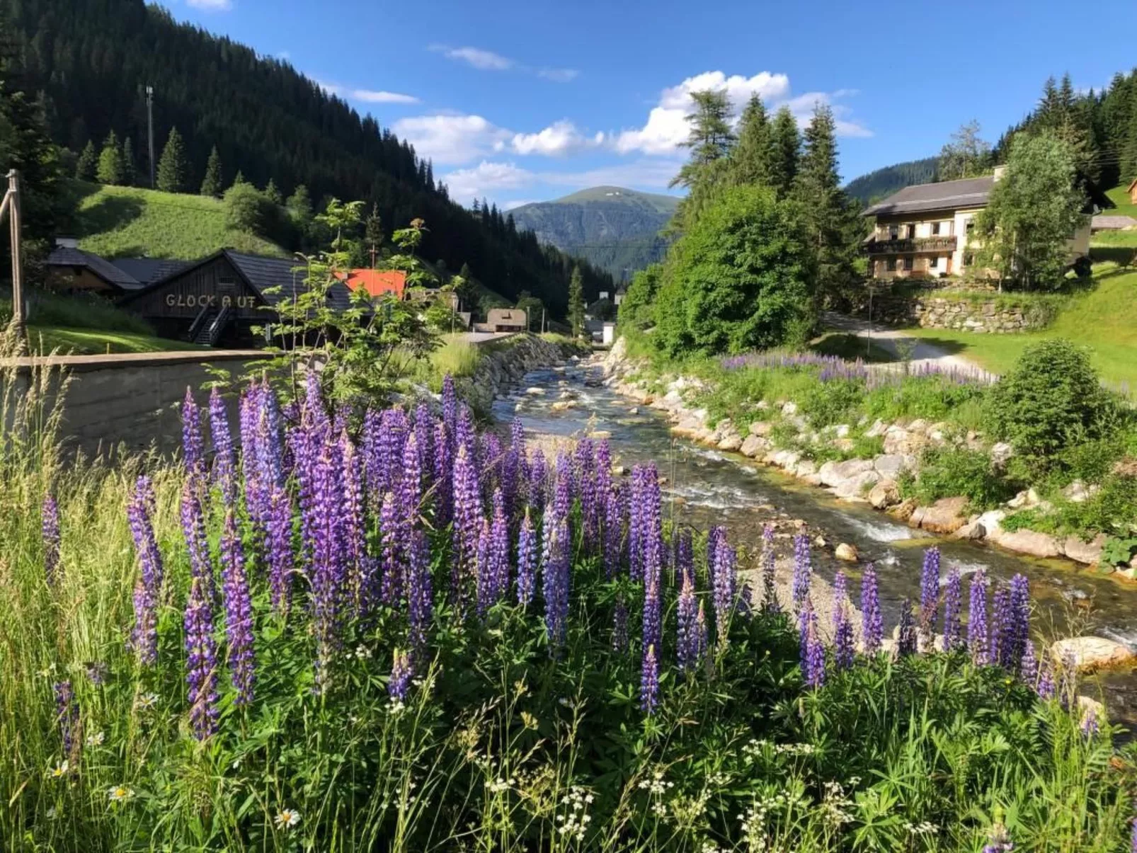 Berghof Turrach-Buiten