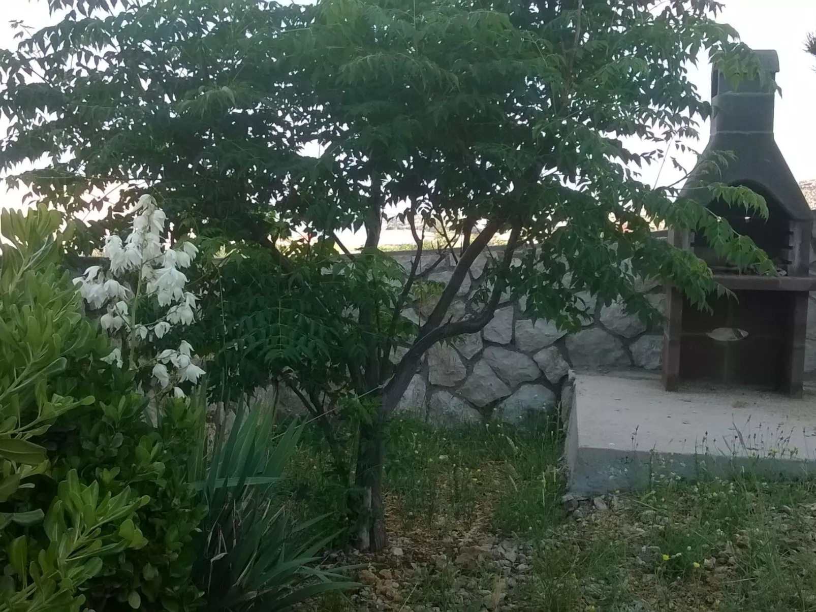 Mit Blick auf das Wasser-Buiten