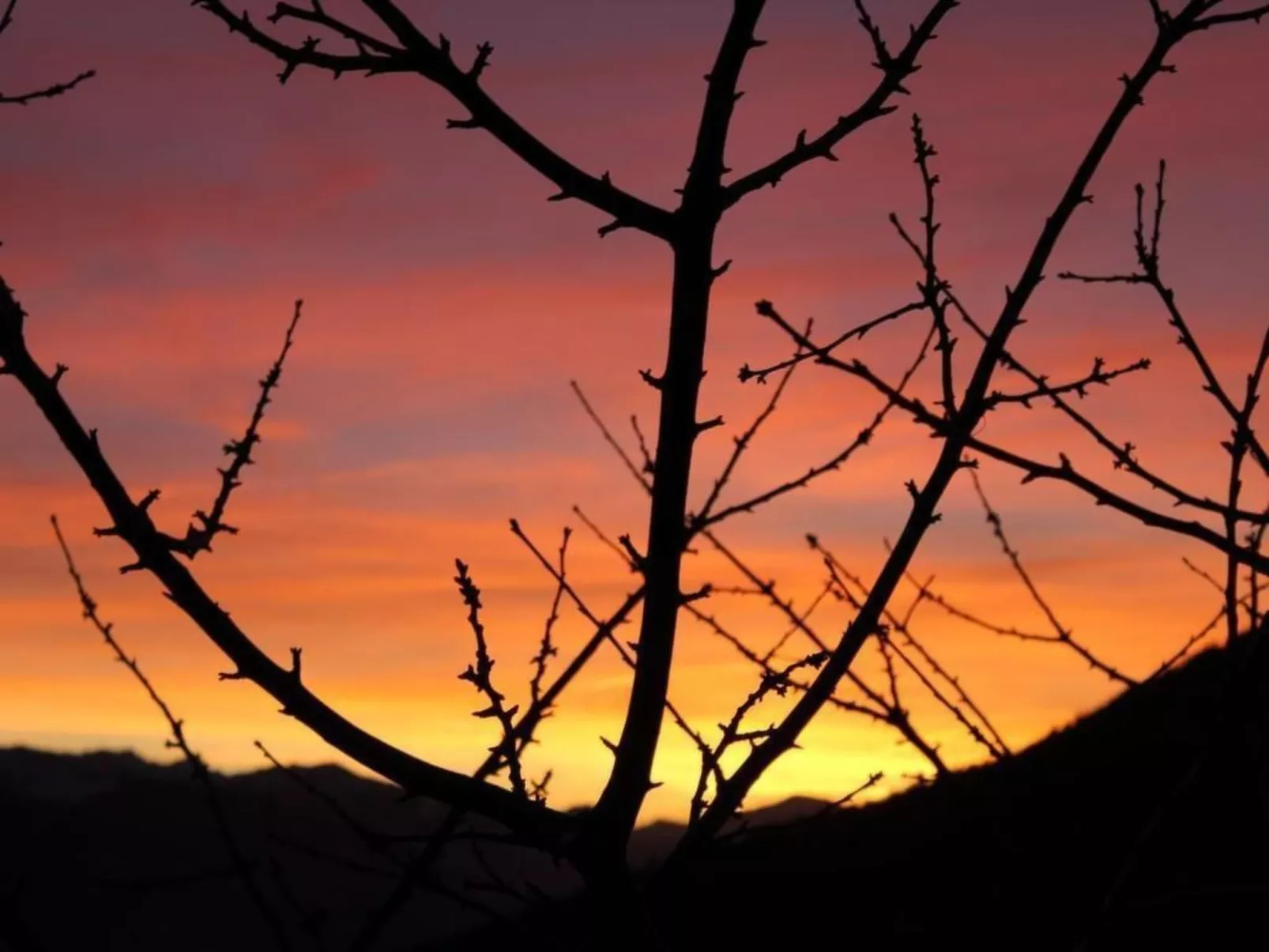 Haus Xaver-Image-tags.info