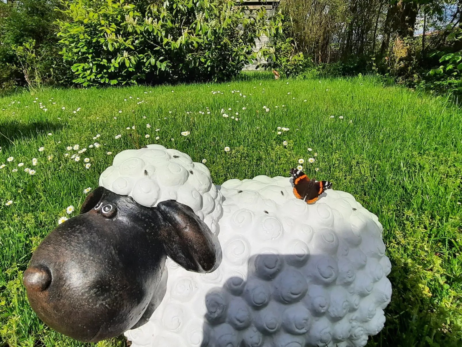 Gartenblick in Vöhl-Basdorf-Buiten