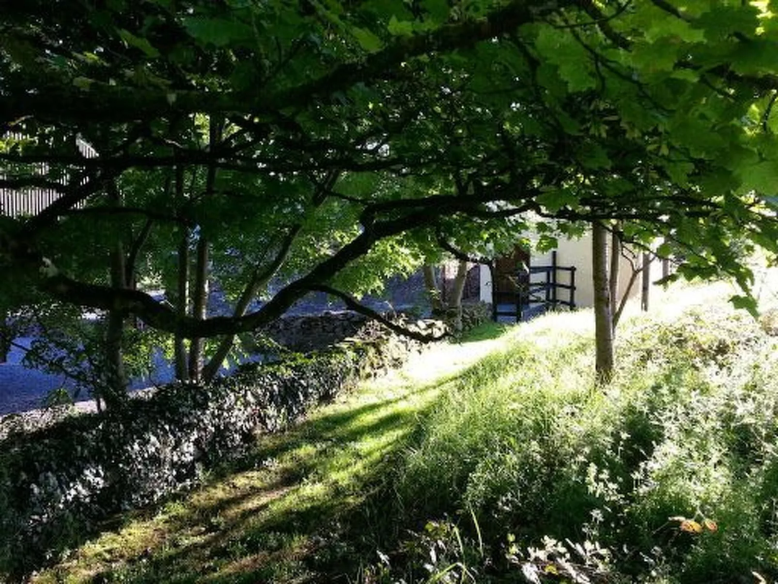 Cottage "James Tymon" mit Terrasse und Garten-Buiten
