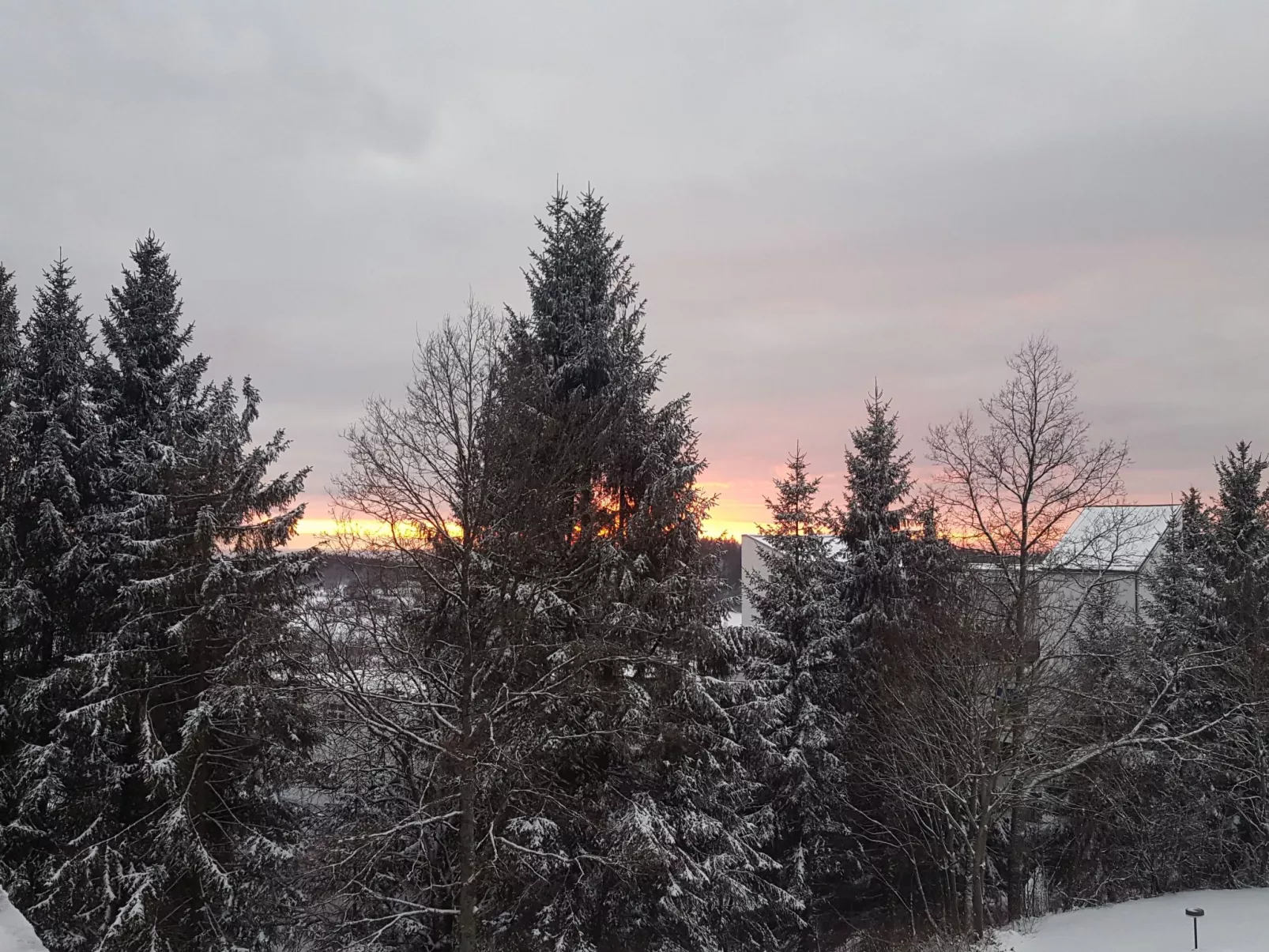 Bayernwald Idyll-Buiten