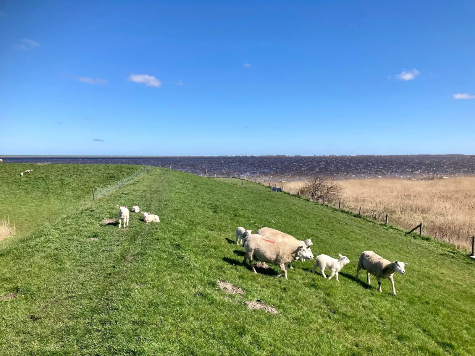 Haus Sonnenschein mit Blick auf das Lauwersmeer-Buiten
