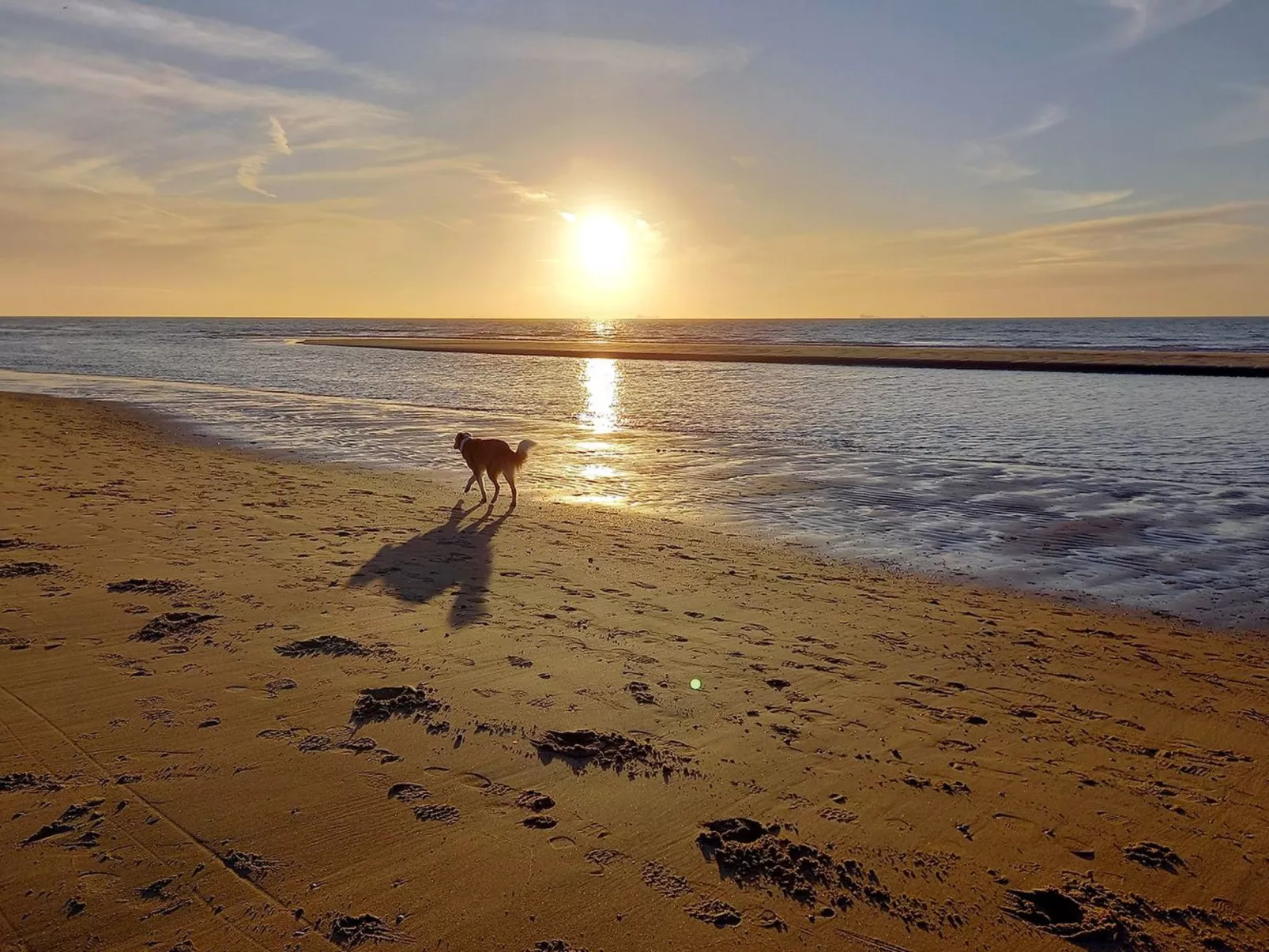 MarBriliante-Image-tags.info