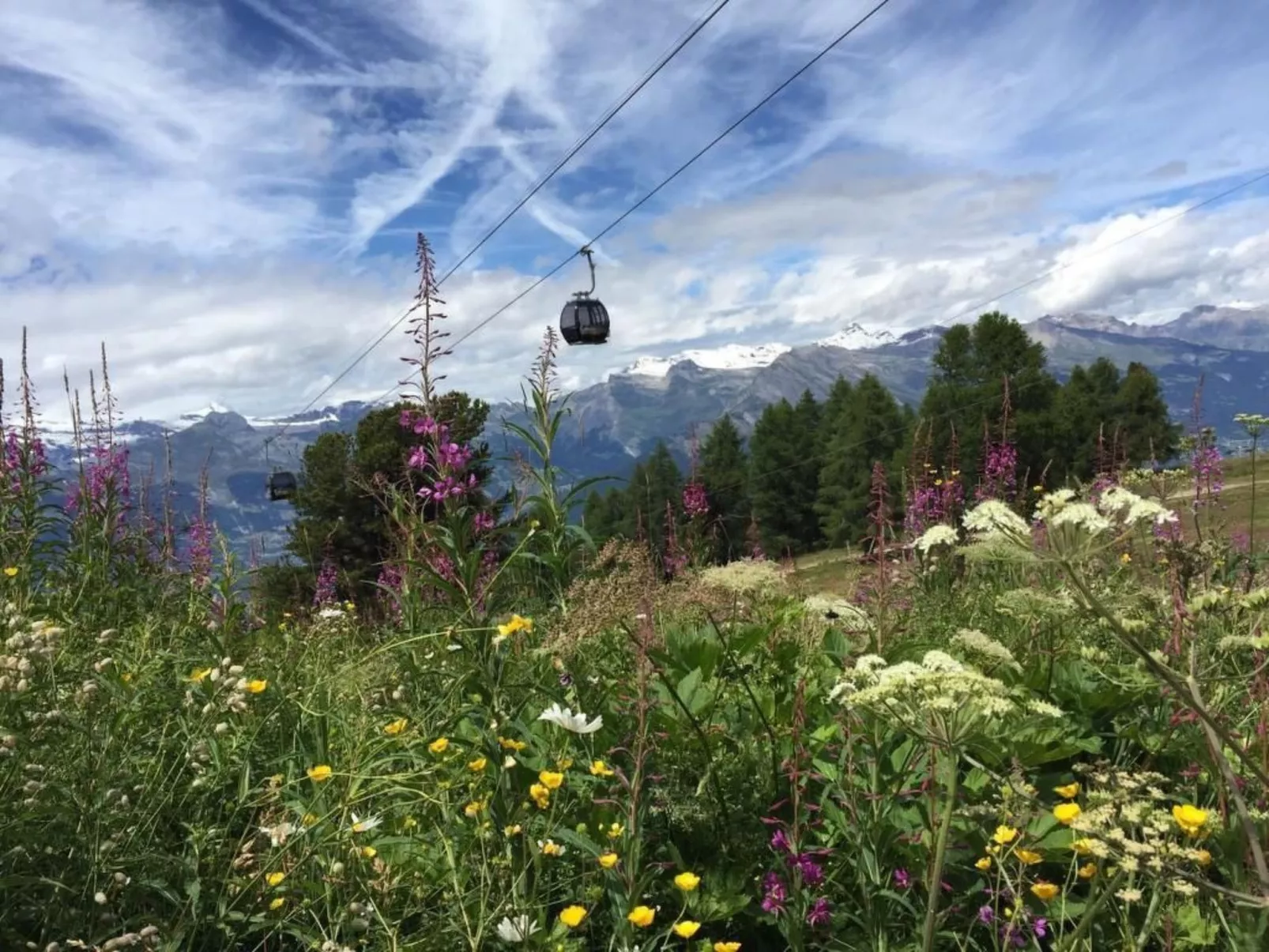 Fewo mit Blick auf die Berge-Buiten