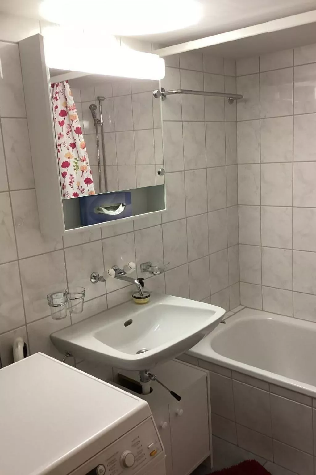 Mannried 2 1/2-Zimmerwohnung "Rustikal"-Binnen