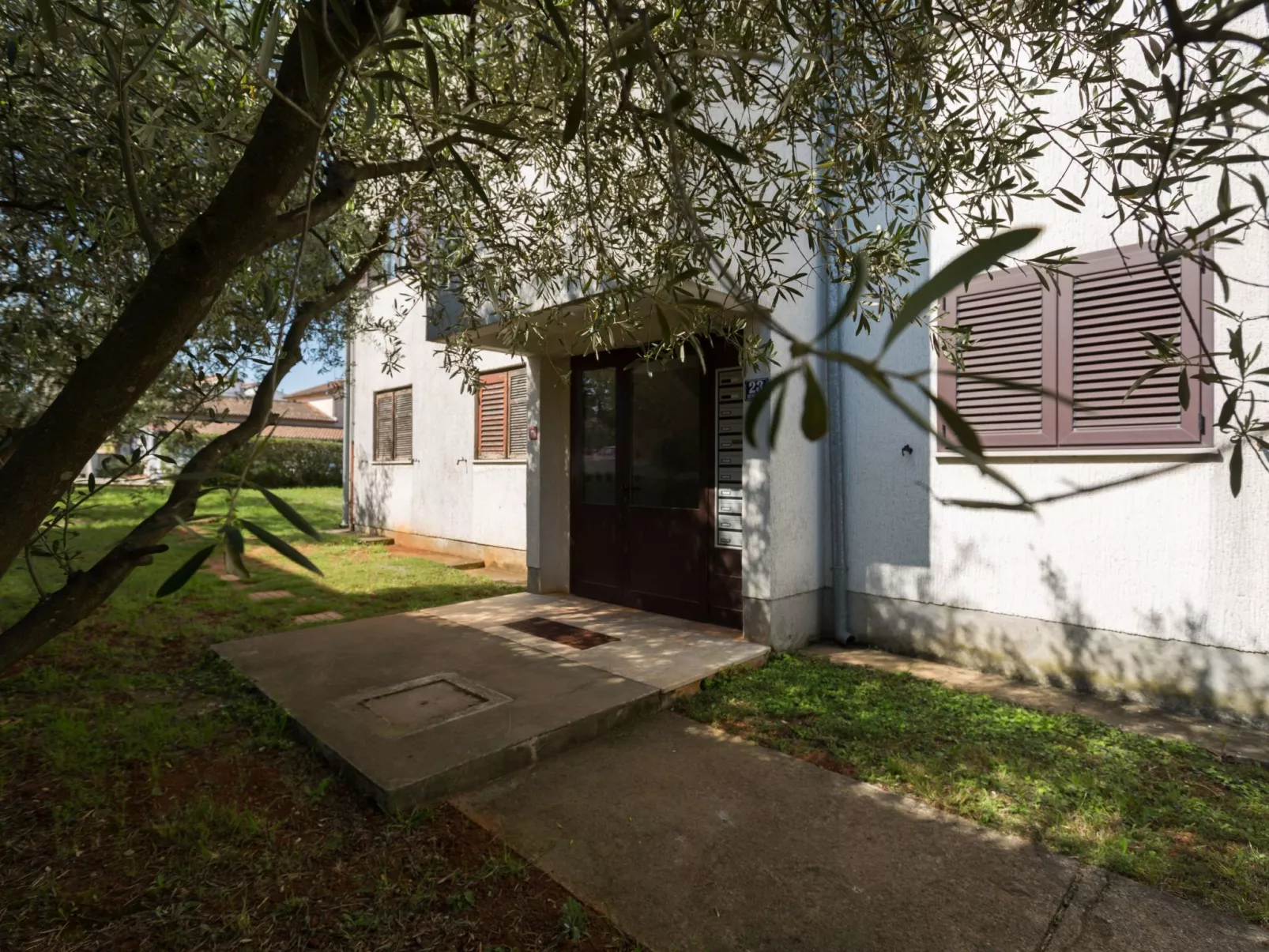 Zlata-Image-tags.info