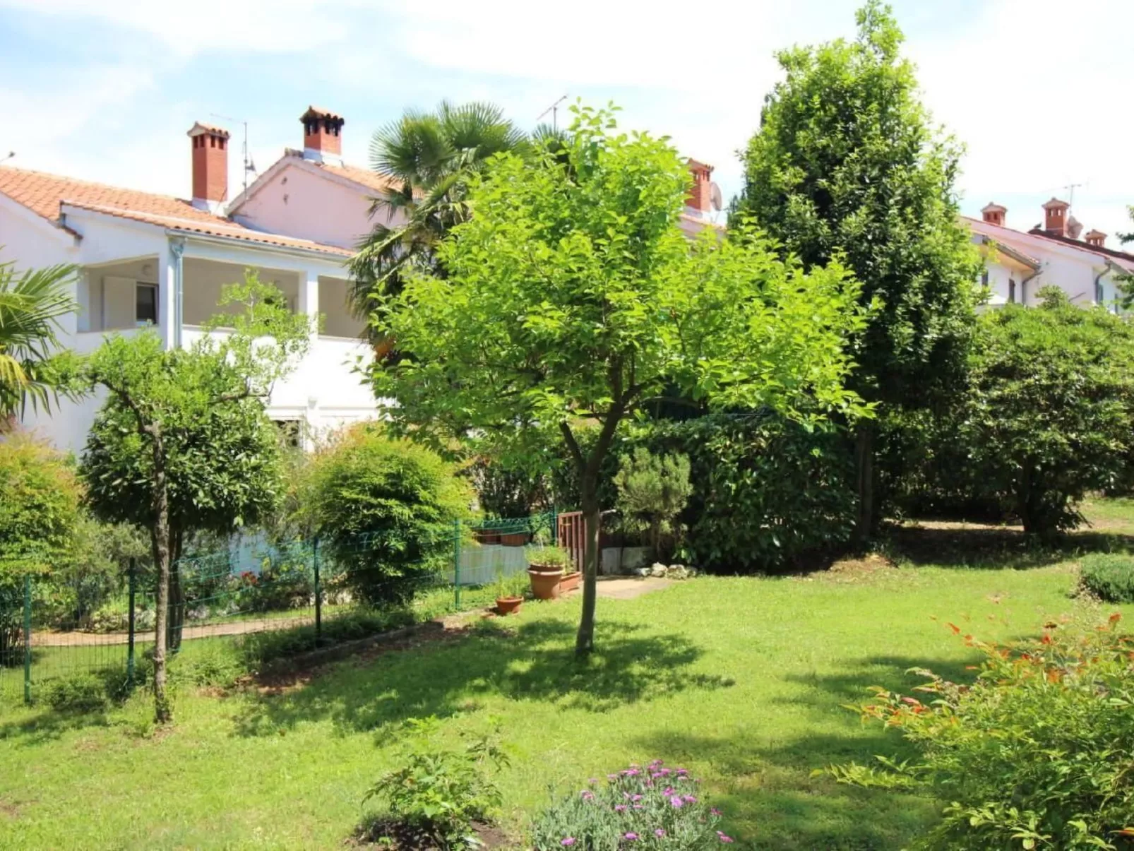 Stefani-Image-tags.info