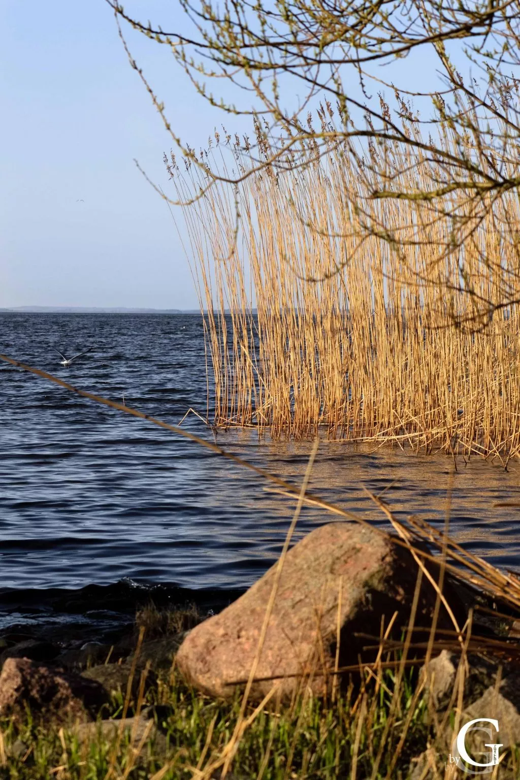 Am Apothekerberg-Buiten